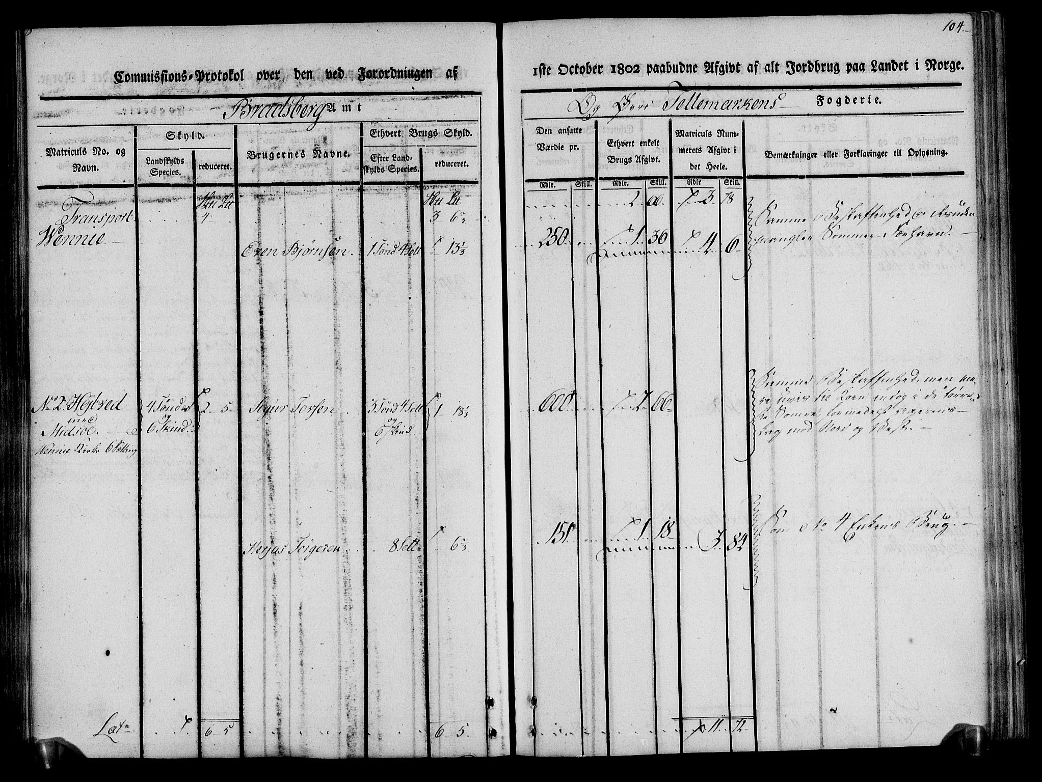 Rentekammeret inntil 1814, Realistisk ordnet avdeling, AV/RA-EA-4070/N/Ne/Nea/L0075: Øvre Telemarken fogderi. Kommisjonsprotokoll for fogderiets vestre del - Kviteseid, Vinje, Moland [):Fyresdal] og Lårdal prestegjeld., 1803, p. 104