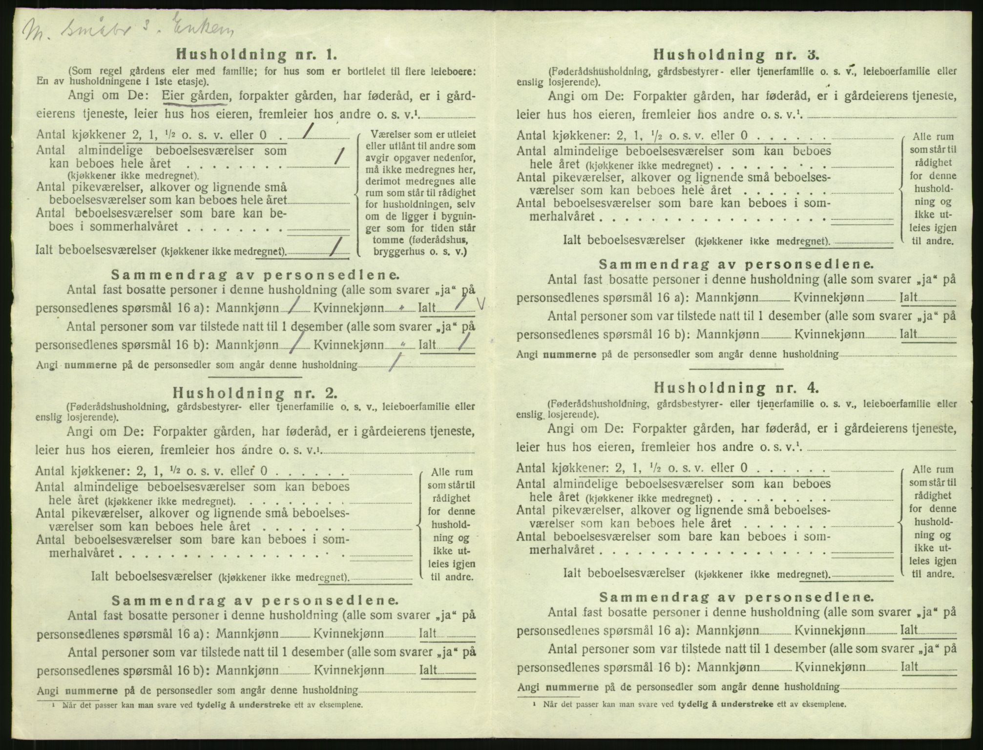 SAH, 1920 census for Nes (Hedmark), 1920, p. 36