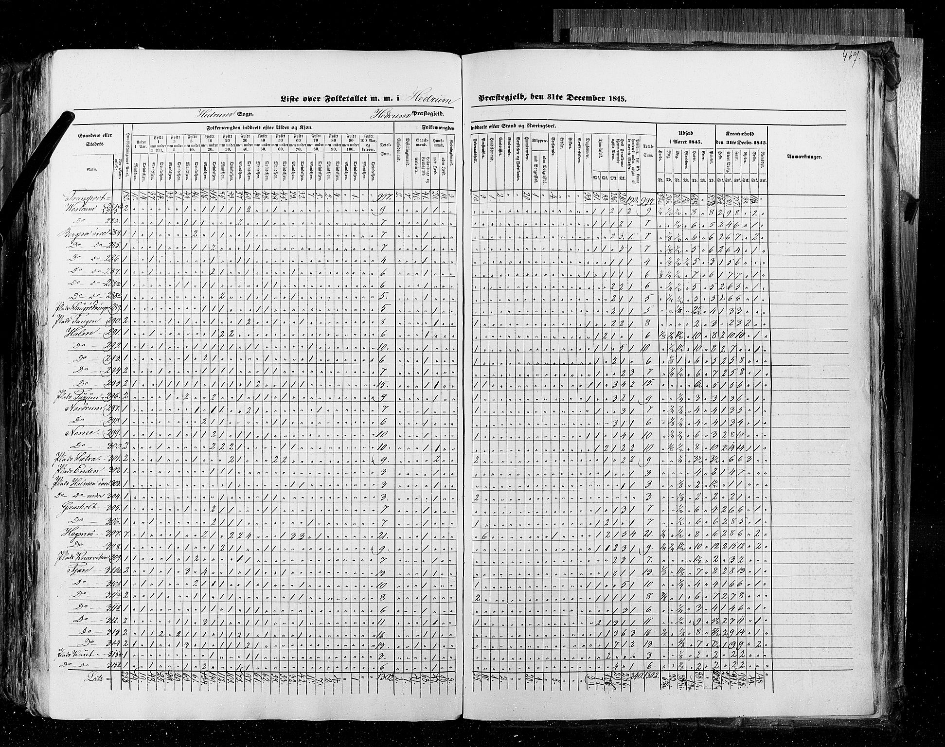 RA, Census 1845, vol. 4: Buskerud amt og Jarlsberg og Larvik amt, 1845, p. 467