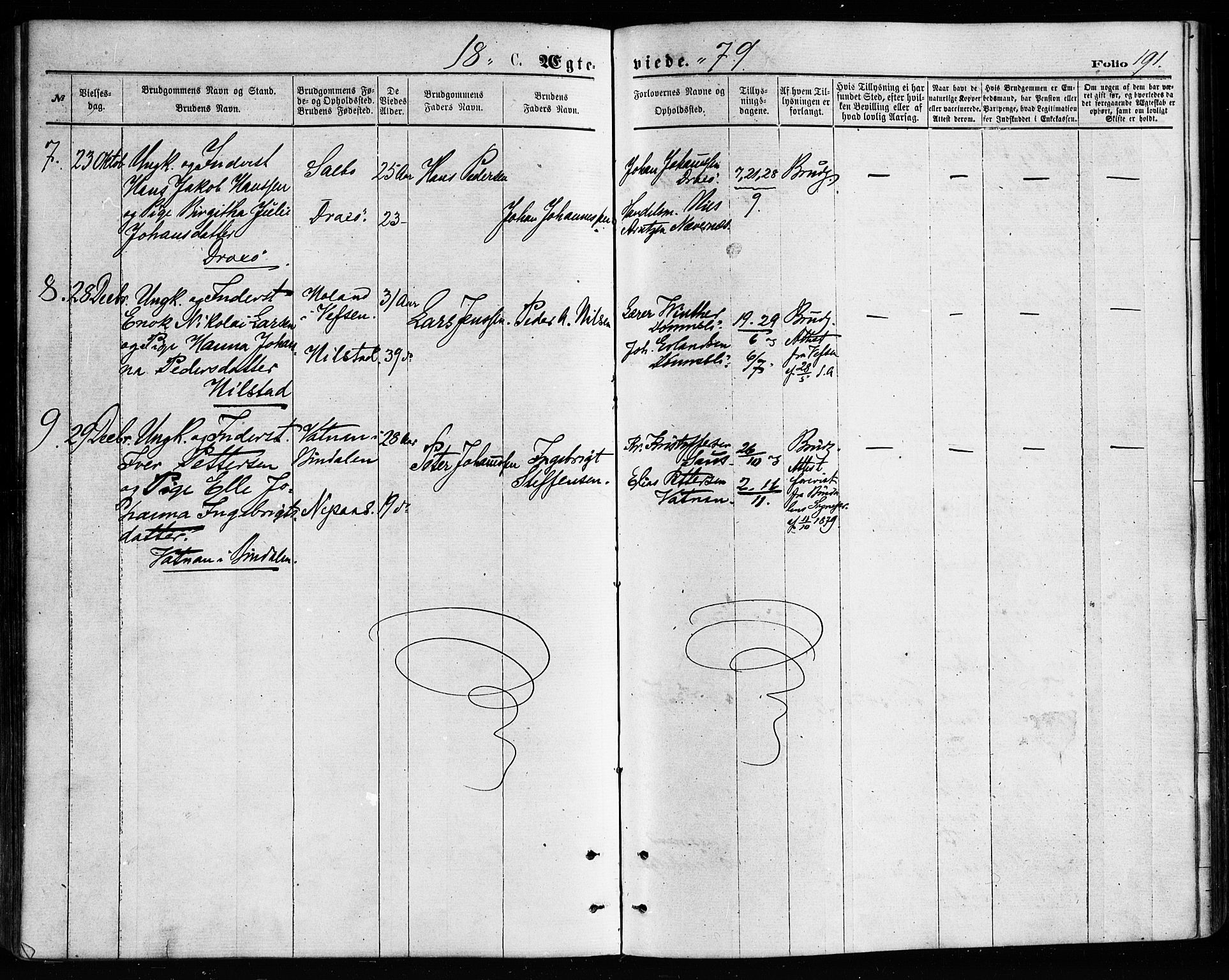 Ministerialprotokoller, klokkerbøker og fødselsregistre - Nordland, AV/SAT-A-1459/814/L0225: Parish register (official) no. 814A06, 1875-1885, p. 191