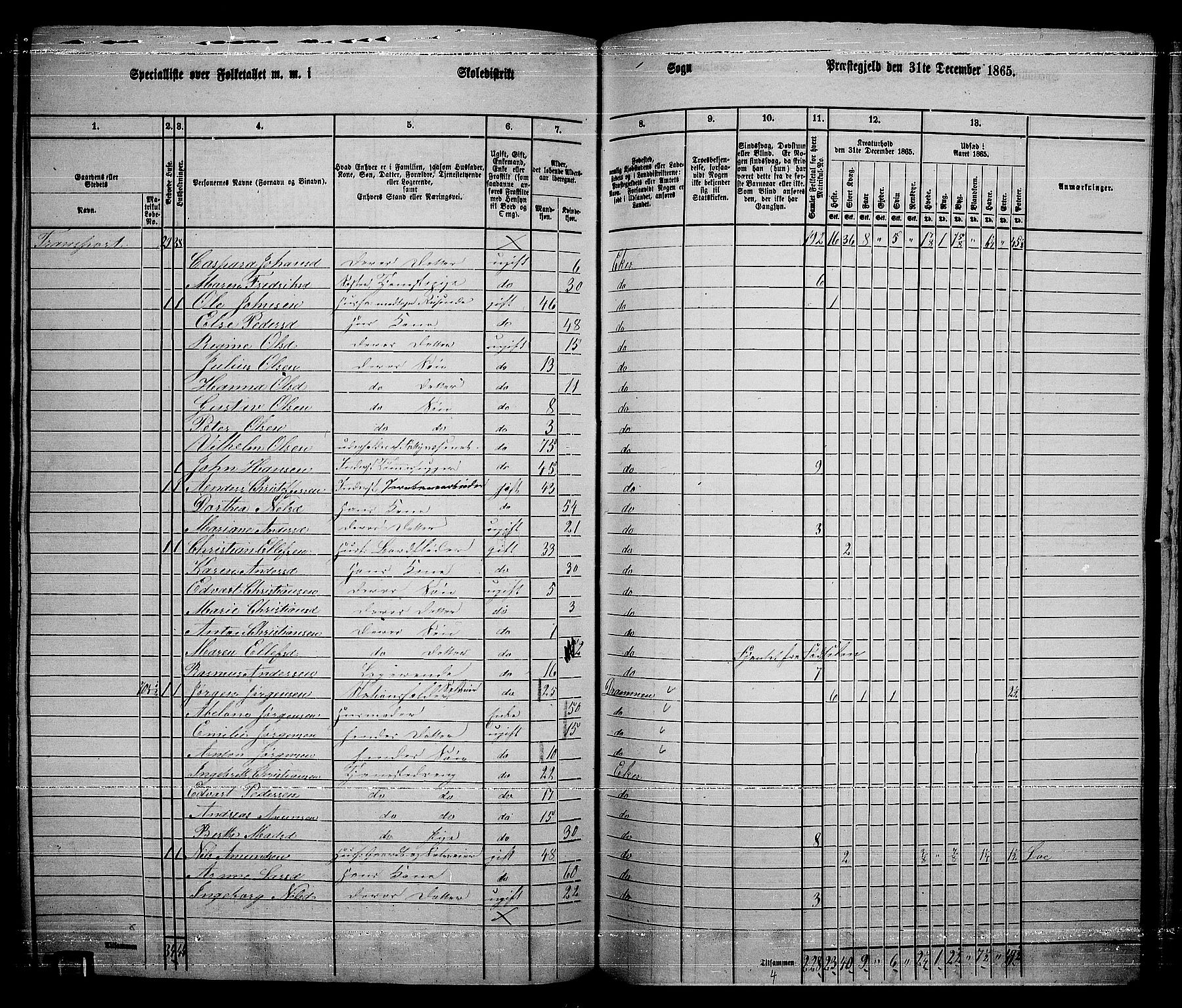 RA, 1865 census for Eiker, 1865, p. 218