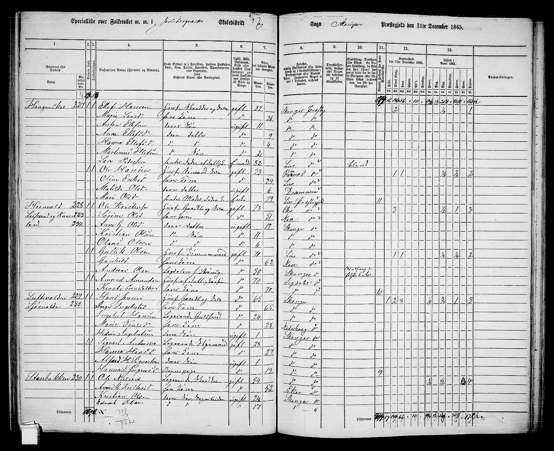 RA, 1865 census for Skoger, 1865, p. 108