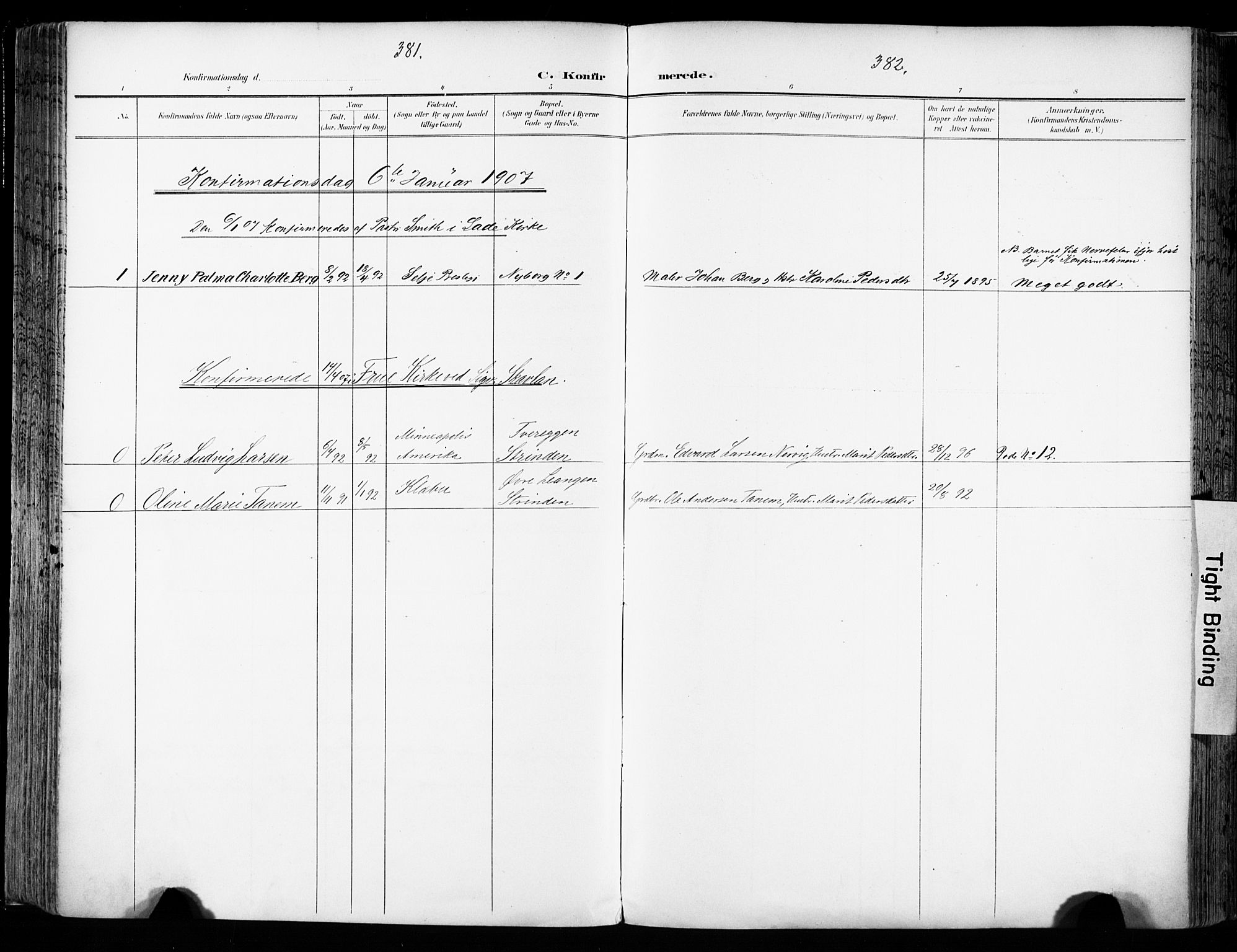 Ministerialprotokoller, klokkerbøker og fødselsregistre - Sør-Trøndelag, SAT/A-1456/606/L0301: Parish register (official) no. 606A16, 1894-1907, p. 381-382