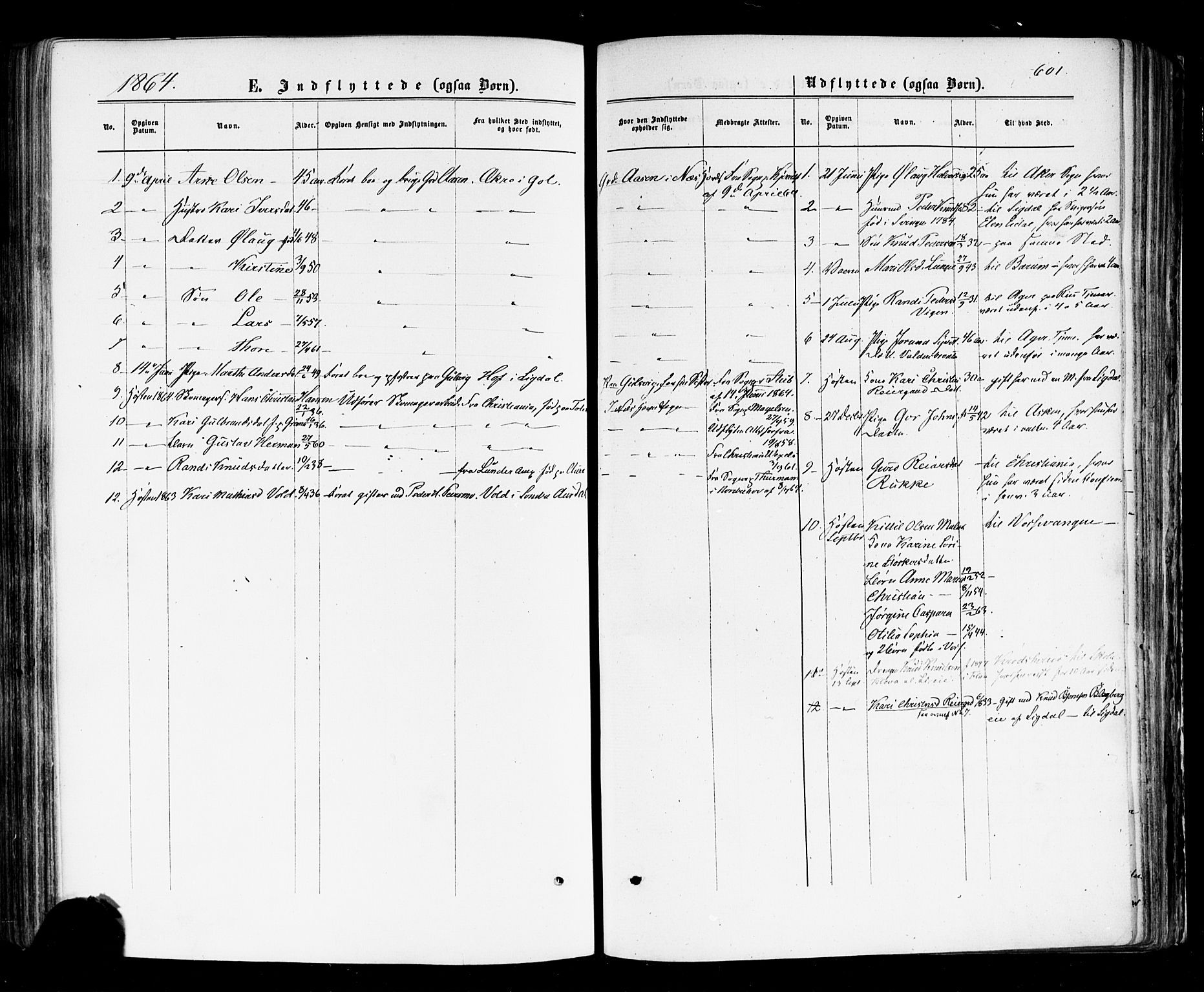 Nes kirkebøker, SAKO/A-236/F/Fa/L0010: Parish register (official) no. 10, 1864-1880, p. 601