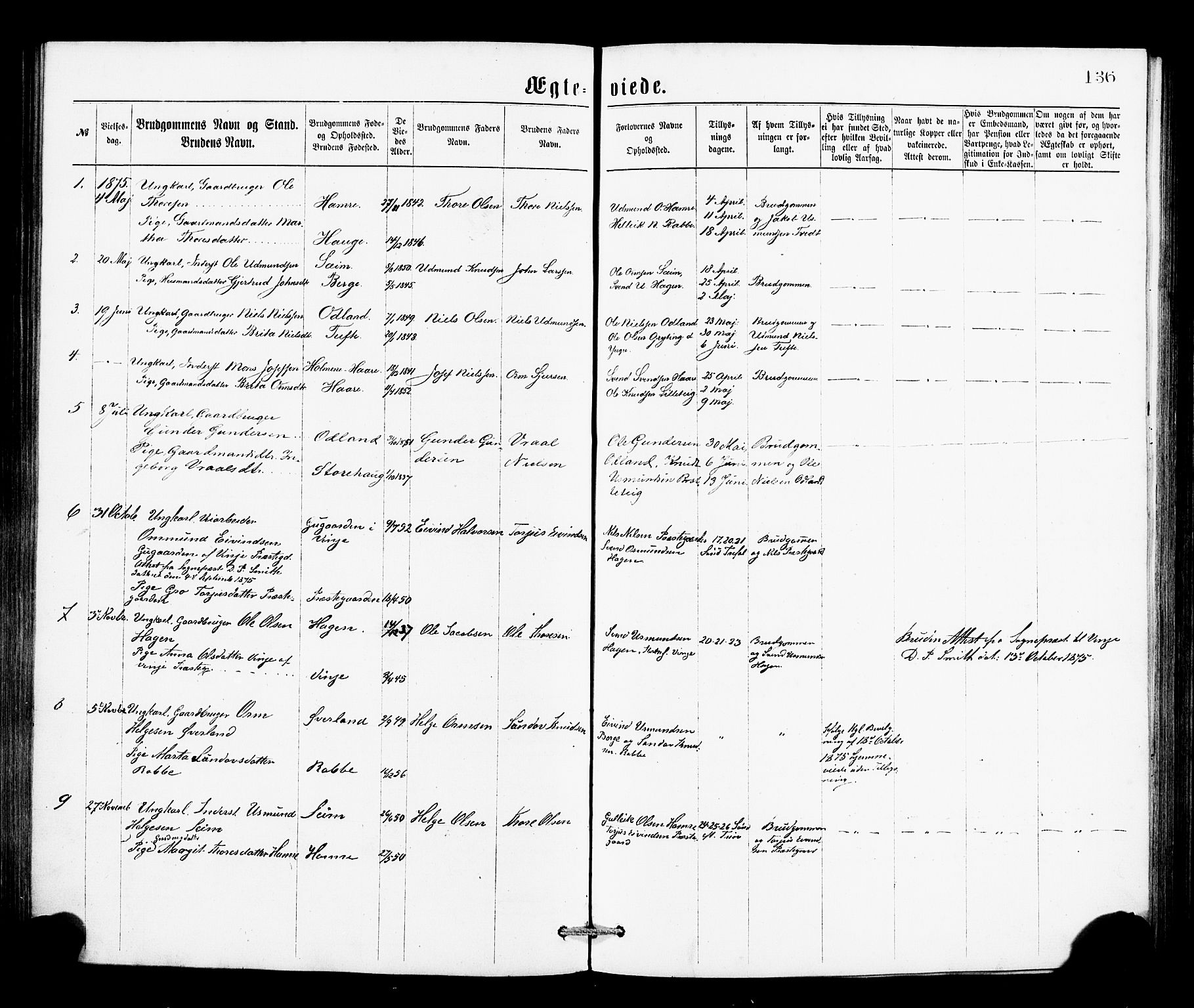 Røldal sokneprestembete, SAB/A-100247: Parish register (official) no. A 4, 1870-1886, p. 136