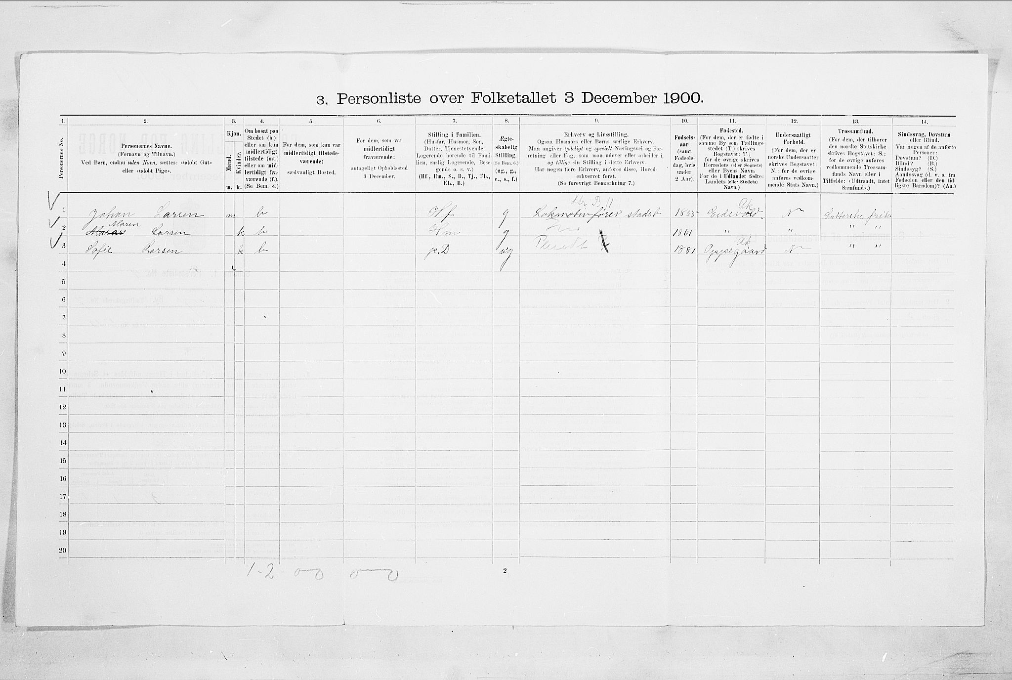 SAO, 1900 census for Sarpsborg, 1900