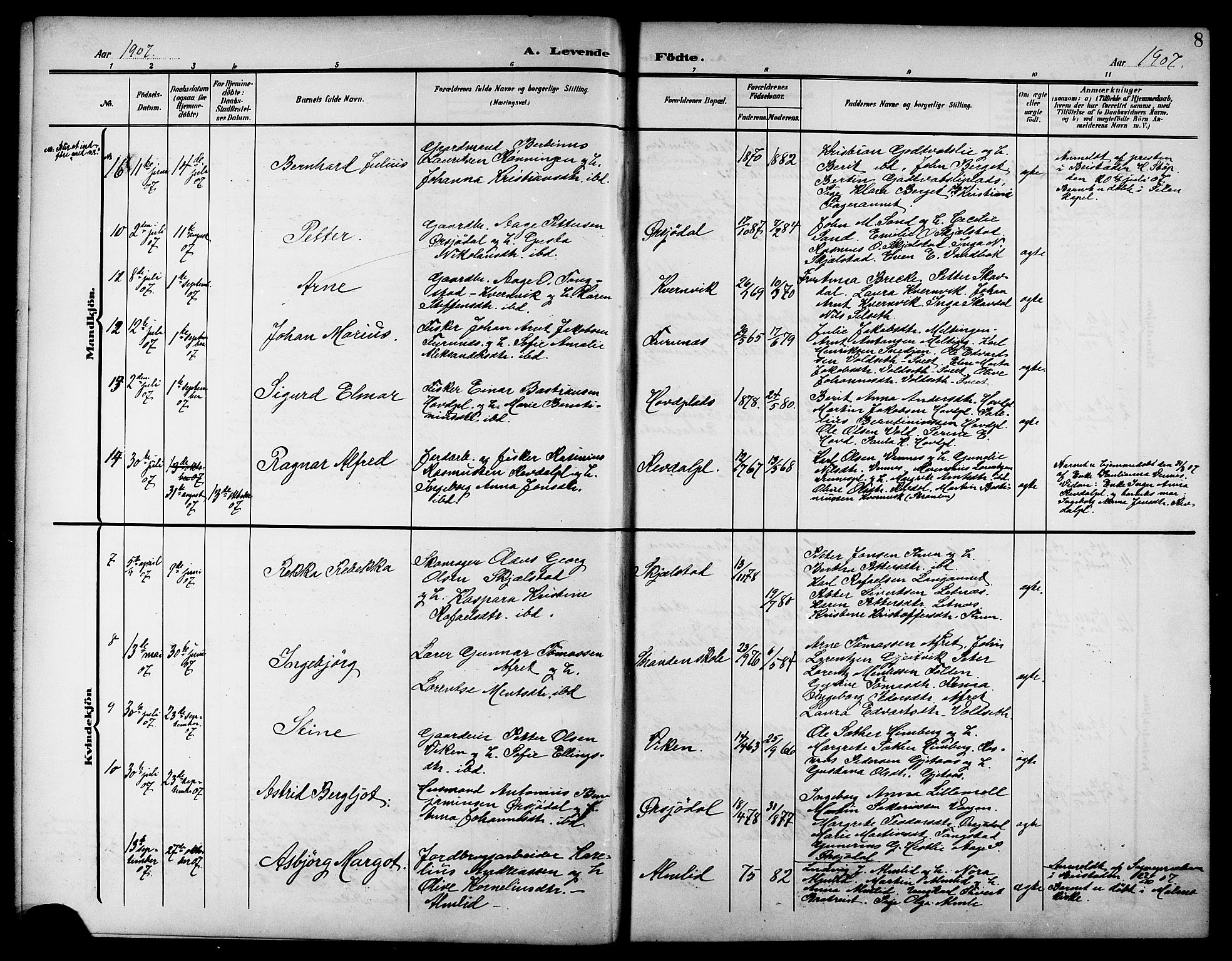 Ministerialprotokoller, klokkerbøker og fødselsregistre - Nord-Trøndelag, AV/SAT-A-1458/744/L0424: Parish register (copy) no. 744C03, 1906-1923, p. 8