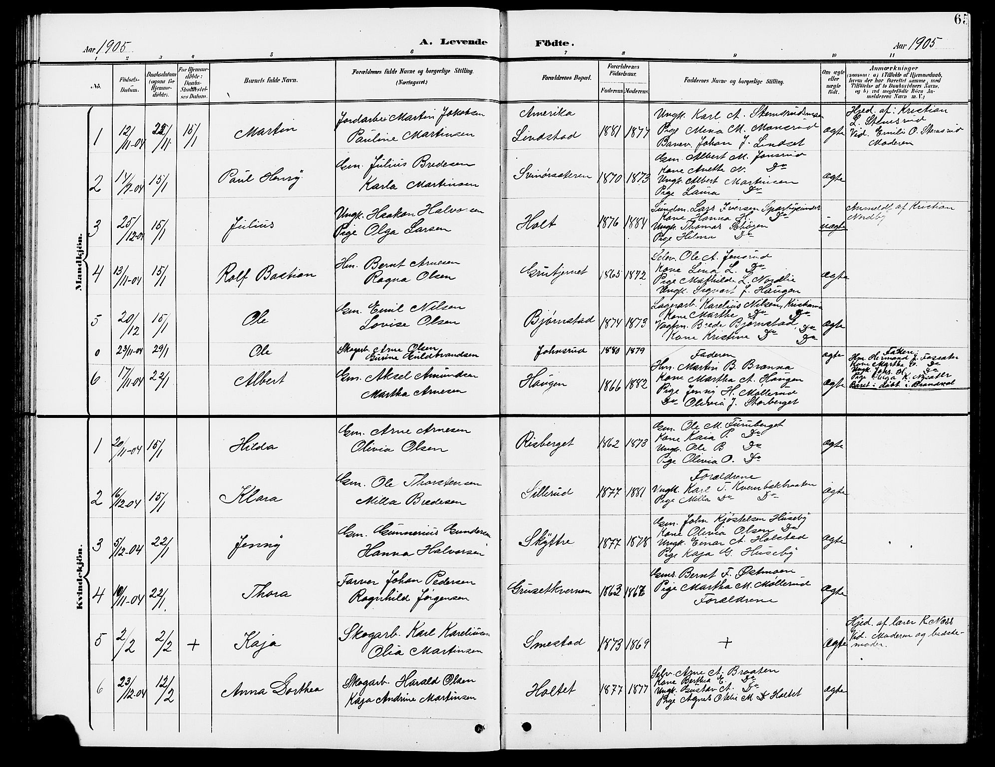 Grue prestekontor, SAH/PREST-036/H/Ha/Hab/L0005: Parish register (copy) no. 5, 1900-1909, p. 65