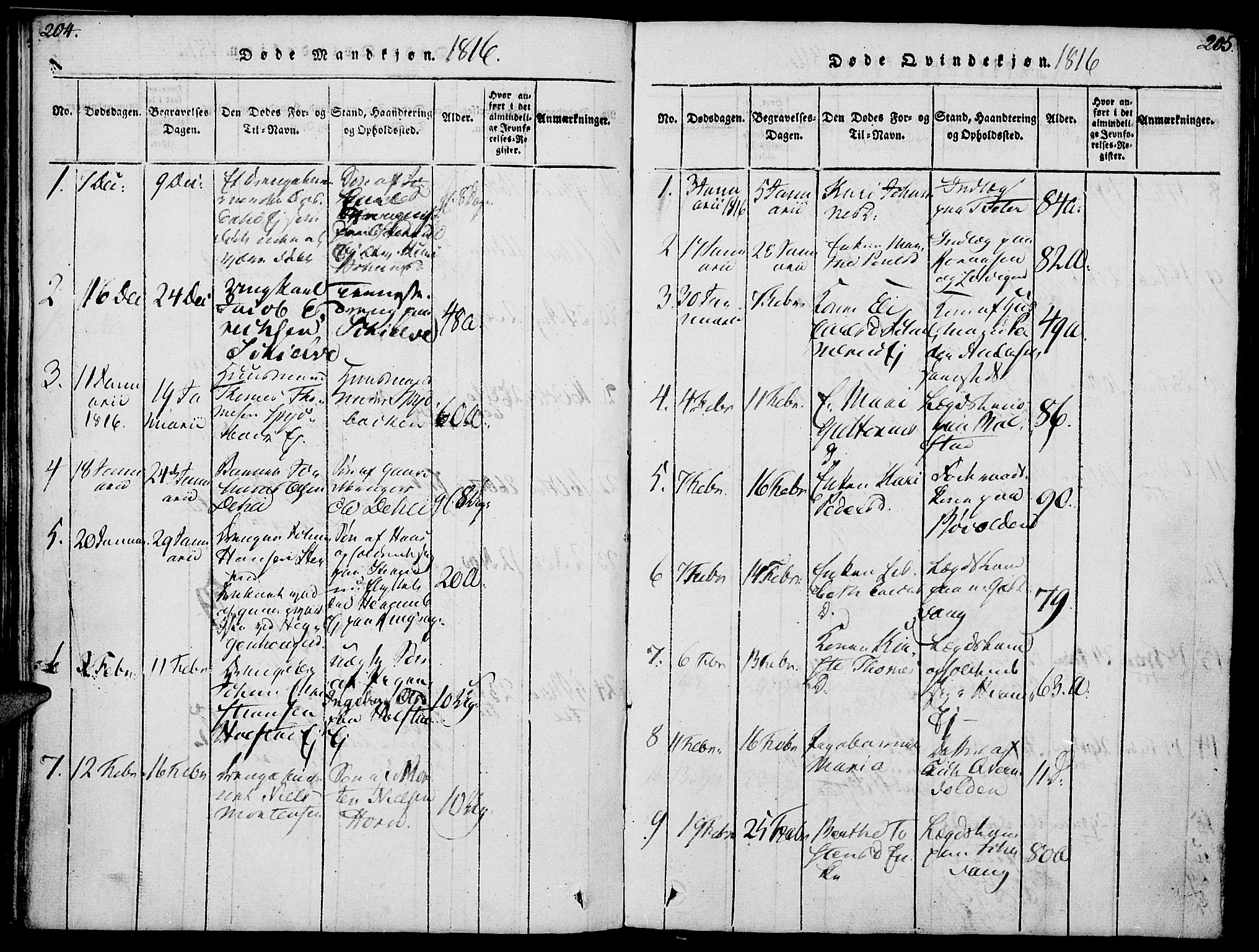 Nes prestekontor, Hedmark, SAH/PREST-020/K/Ka/L0002: Parish register (official) no. 2, 1813-1827, p. 204-205