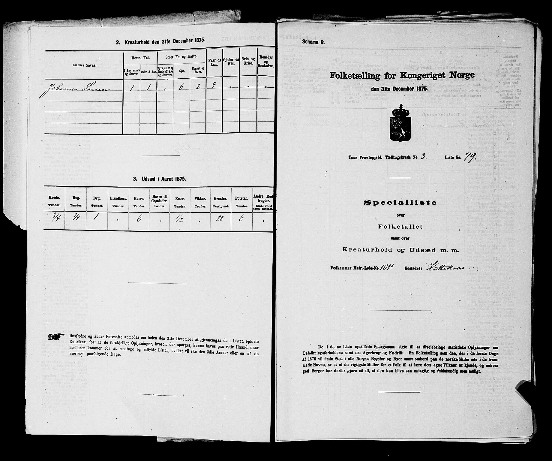 RA, 1875 census for 0130P Tune, 1875, p. 360