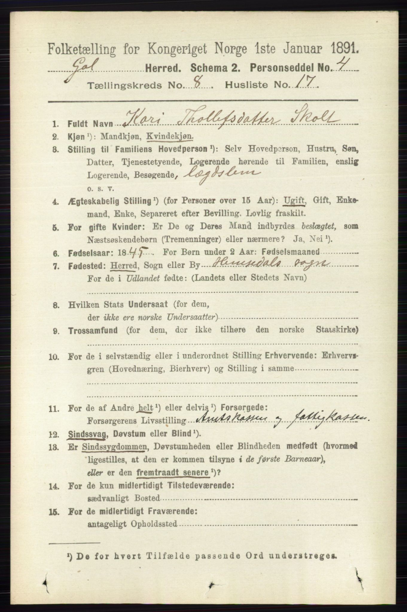 RA, 1891 census for 0617 Gol og Hemsedal, 1891, p. 3123