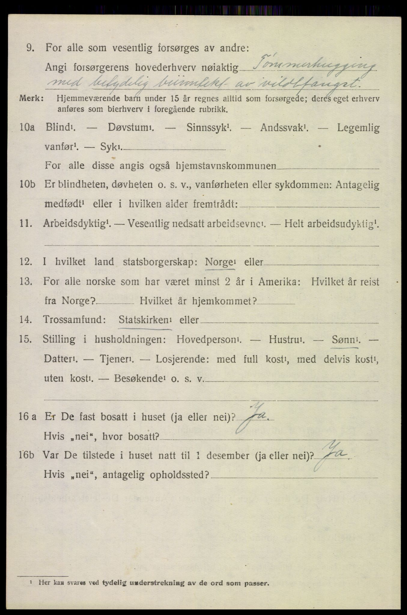 SAH, 1920 census for Tynset, 1920, p. 2459