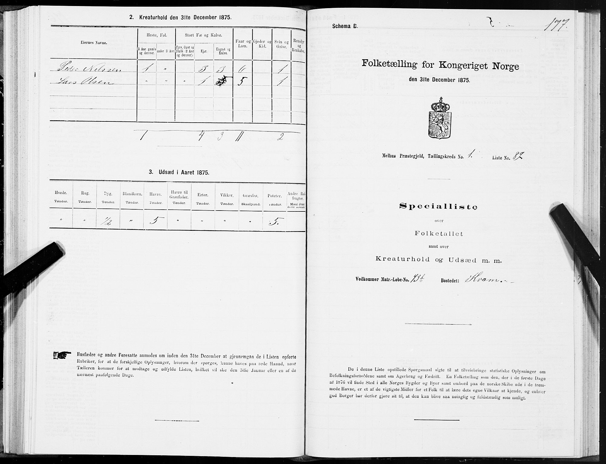 SAT, 1875 census for 1653P Melhus, 1875, p. 1177