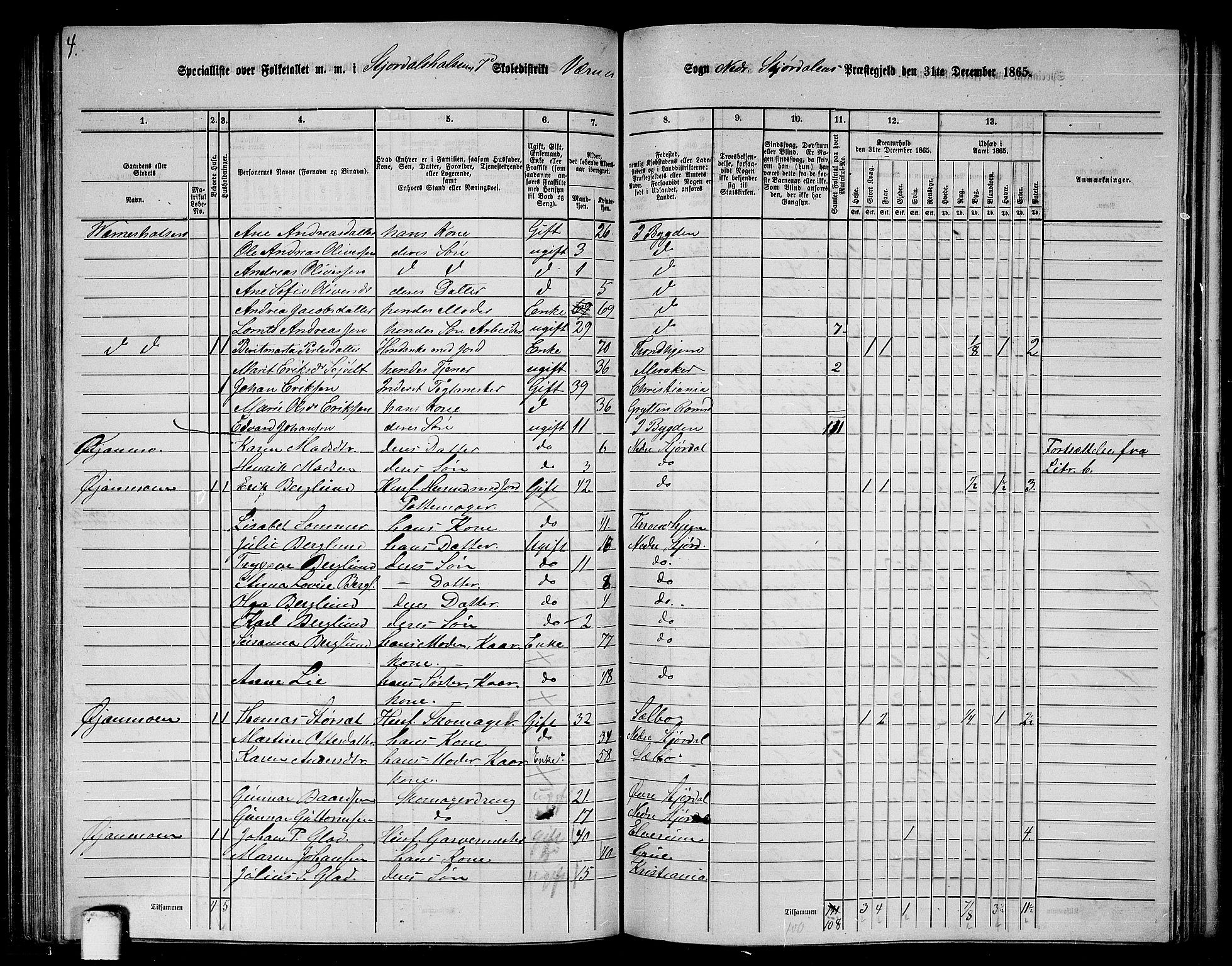 RA, 1865 census for Nedre Stjørdal, 1865, p. 168