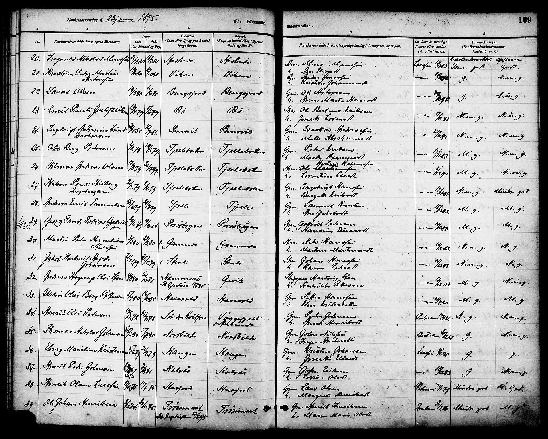 Ministerialprotokoller, klokkerbøker og fødselsregistre - Nordland, AV/SAT-A-1459/863/L0898: Parish register (official) no. 863A10, 1886-1897, p. 169