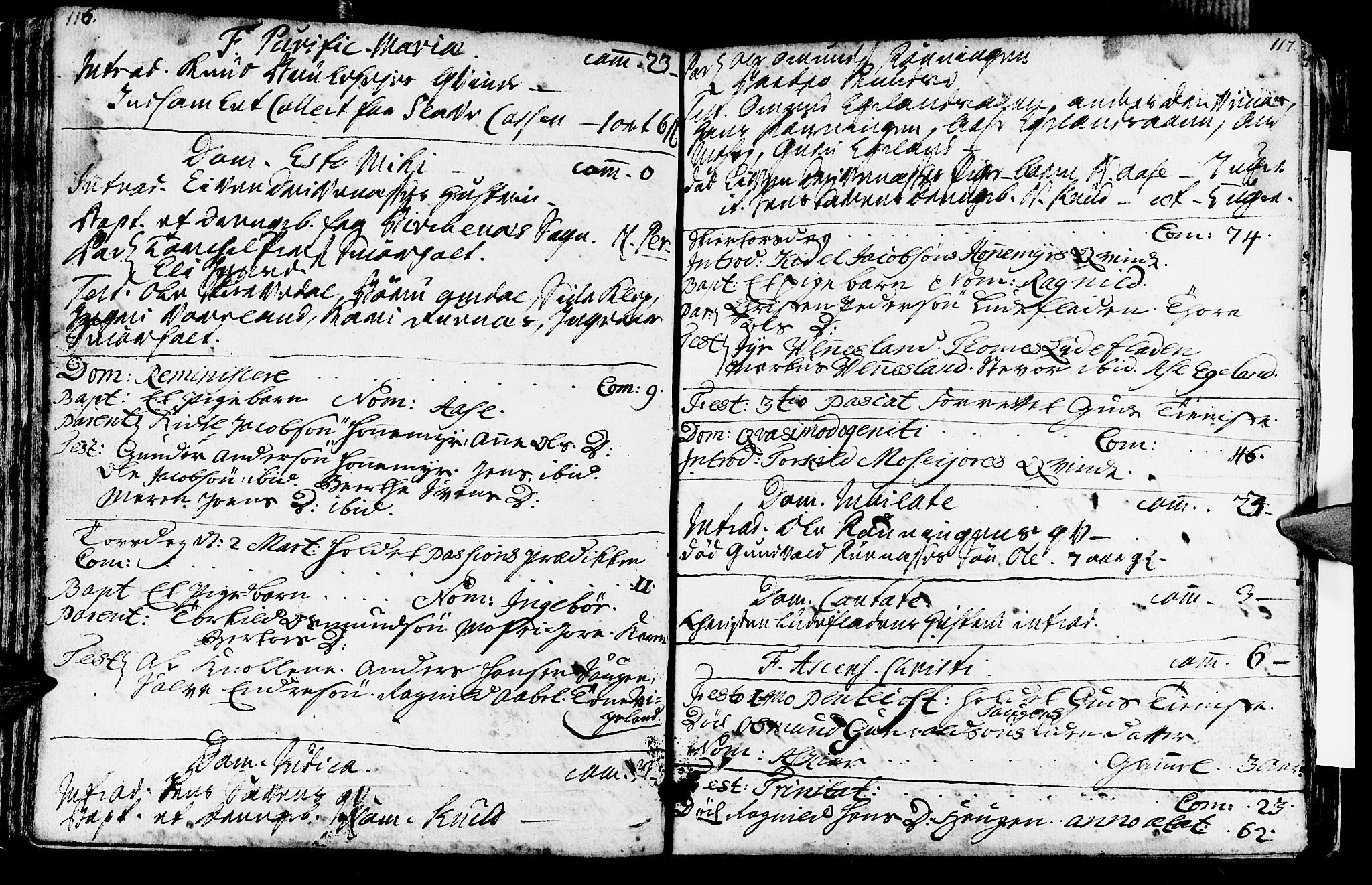 Vennesla sokneprestkontor, SAK/1111-0045/Fa/Fab/L0001: Parish register (official) no. A 1, 1741-1794, p. 116-117