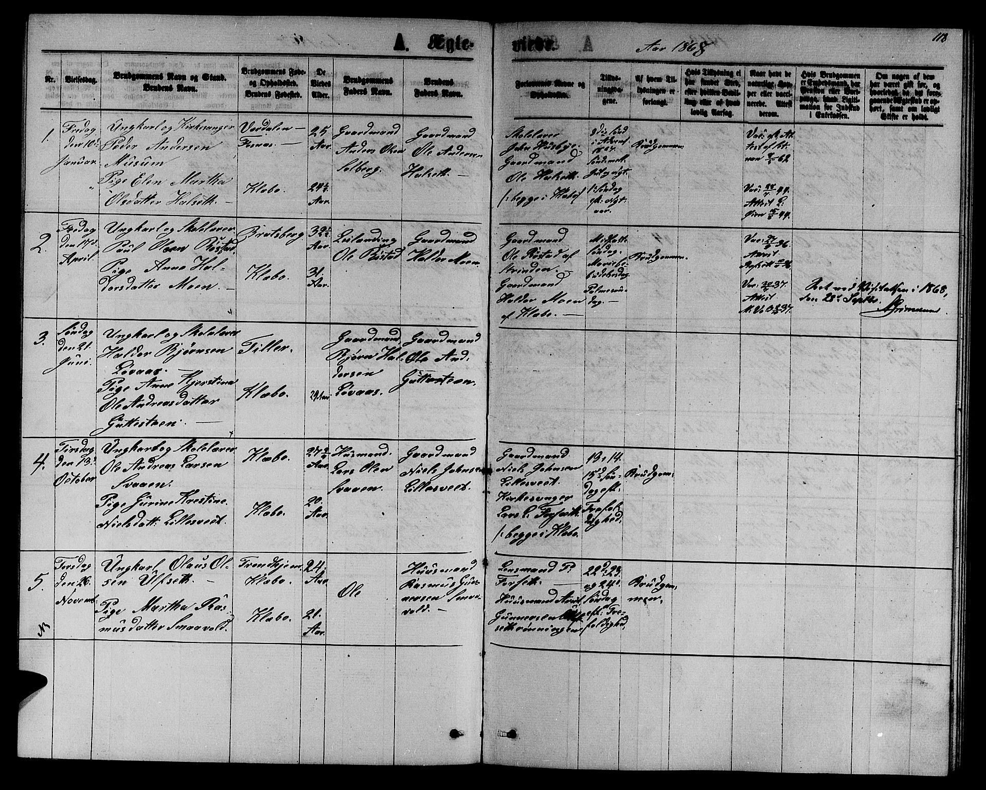 Ministerialprotokoller, klokkerbøker og fødselsregistre - Sør-Trøndelag, SAT/A-1456/618/L0451: Parish register (copy) no. 618C02, 1865-1883, p. 118