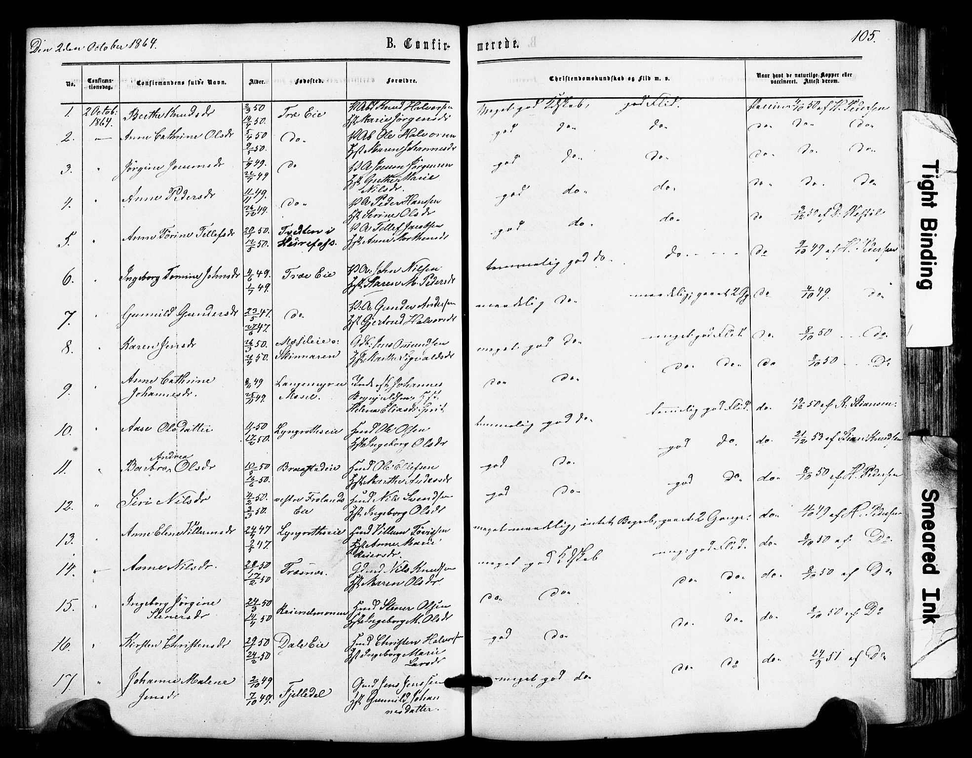 Froland sokneprestkontor, SAK/1111-0013/F/Fa/L0003: Parish register (official) no. A 3, 1864-1881, p. 105
