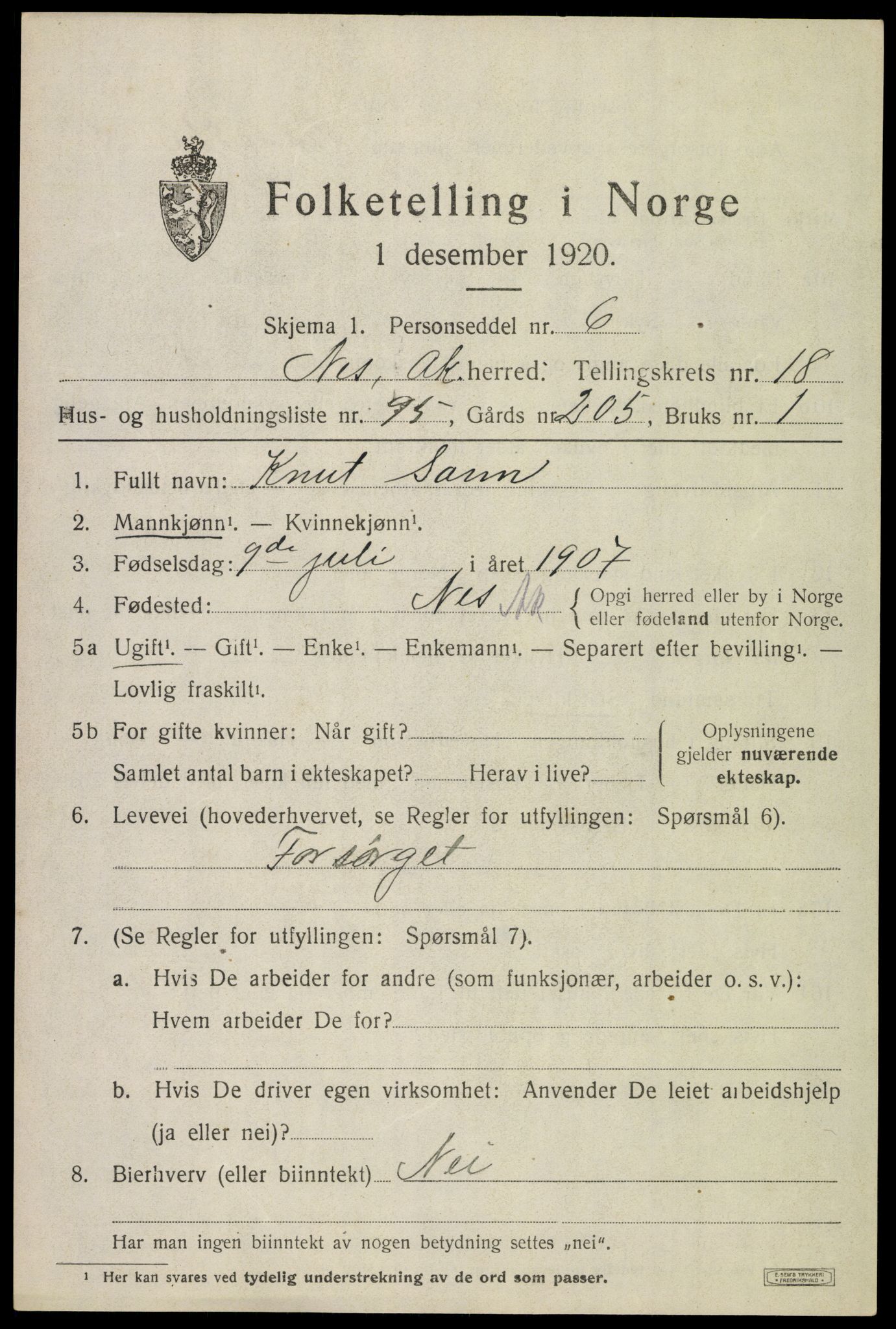 SAO, 1920 census for Nes, 1920, p. 18882