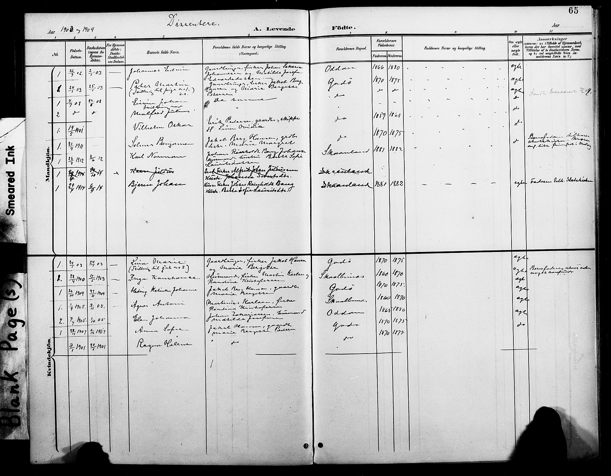 Ministerialprotokoller, klokkerbøker og fødselsregistre - Nordland, SAT/A-1459/804/L0088: Parish register (copy) no. 804C01, 1901-1917, p. 65