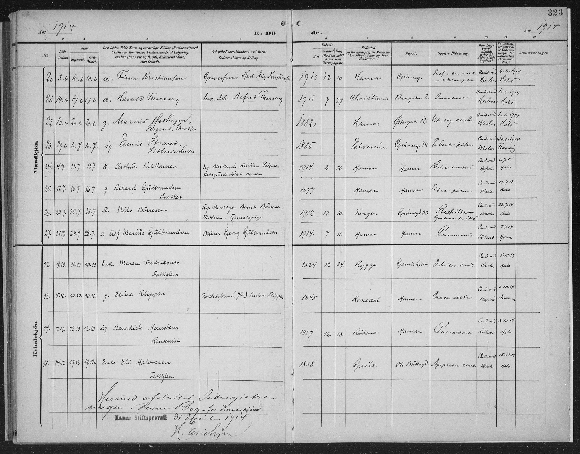 Hamar prestekontor, AV/SAH-DOMPH-002/H/Ha/Haa/L0001: Parish register (official) no. 1, 1900-1914, p. 323