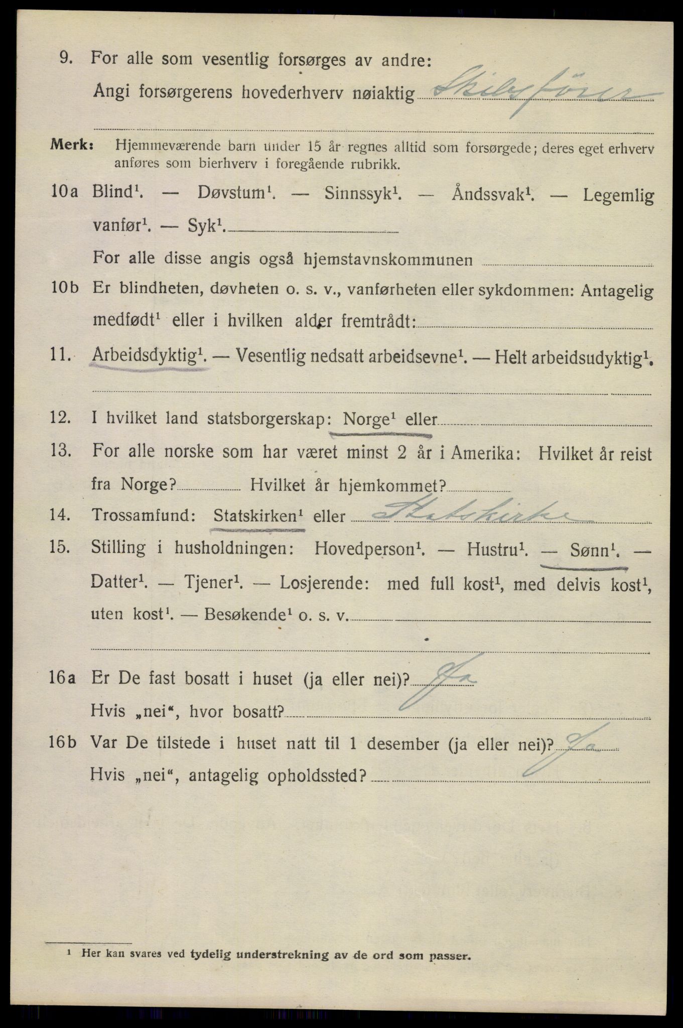 SAKO, 1920 census for Kragerø, 1920, p. 12984