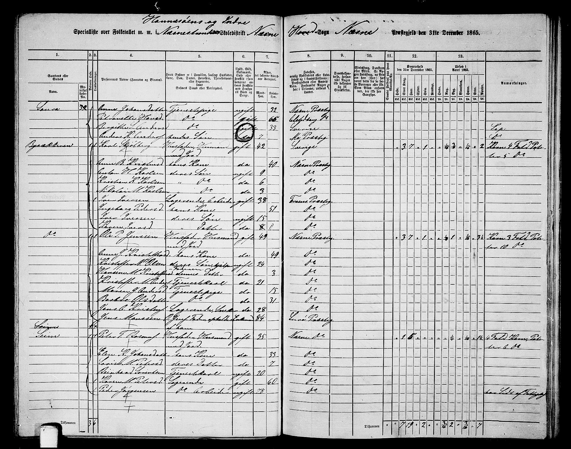 RA, 1865 census for Nesna, 1865, p. 95