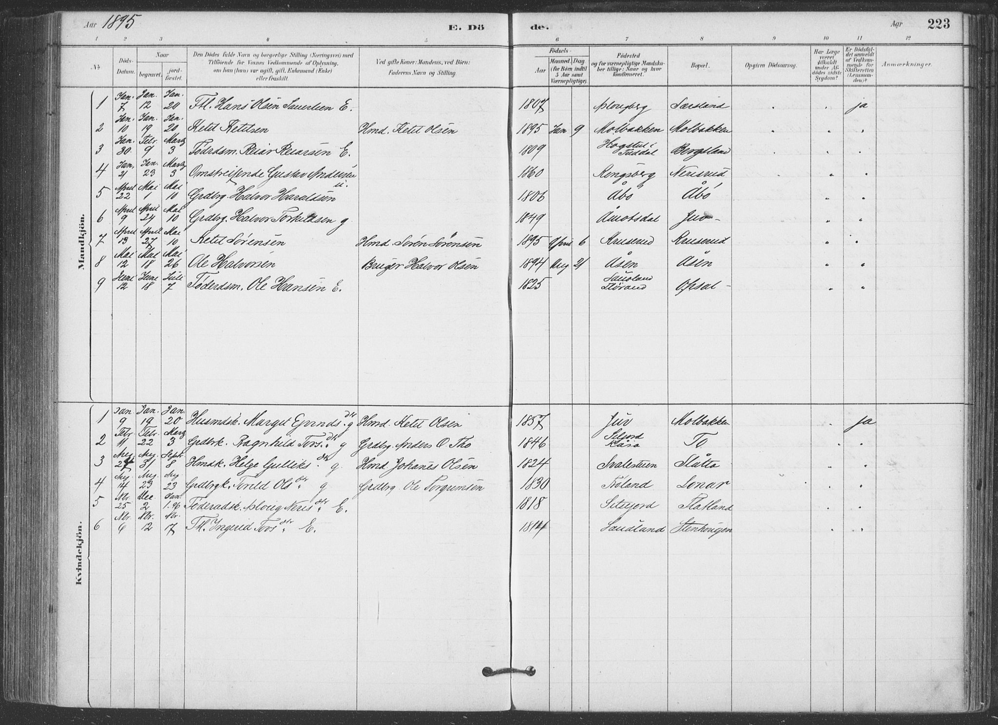 Hjartdal kirkebøker, SAKO/A-270/F/Fa/L0010: Parish register (official) no. I 10, 1880-1929, p. 223