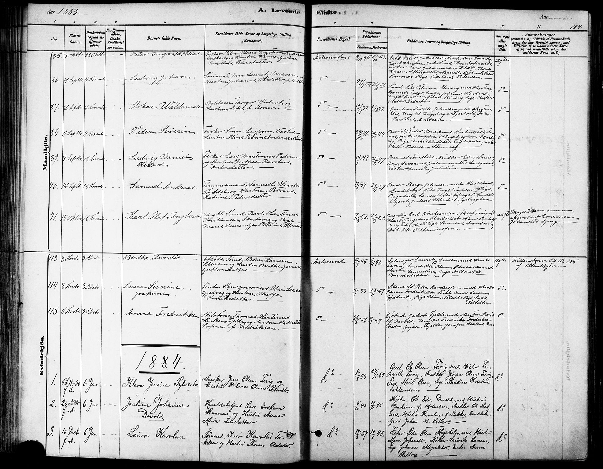 Ministerialprotokoller, klokkerbøker og fødselsregistre - Møre og Romsdal, AV/SAT-A-1454/529/L0454: Parish register (official) no. 529A04, 1878-1885, p. 104