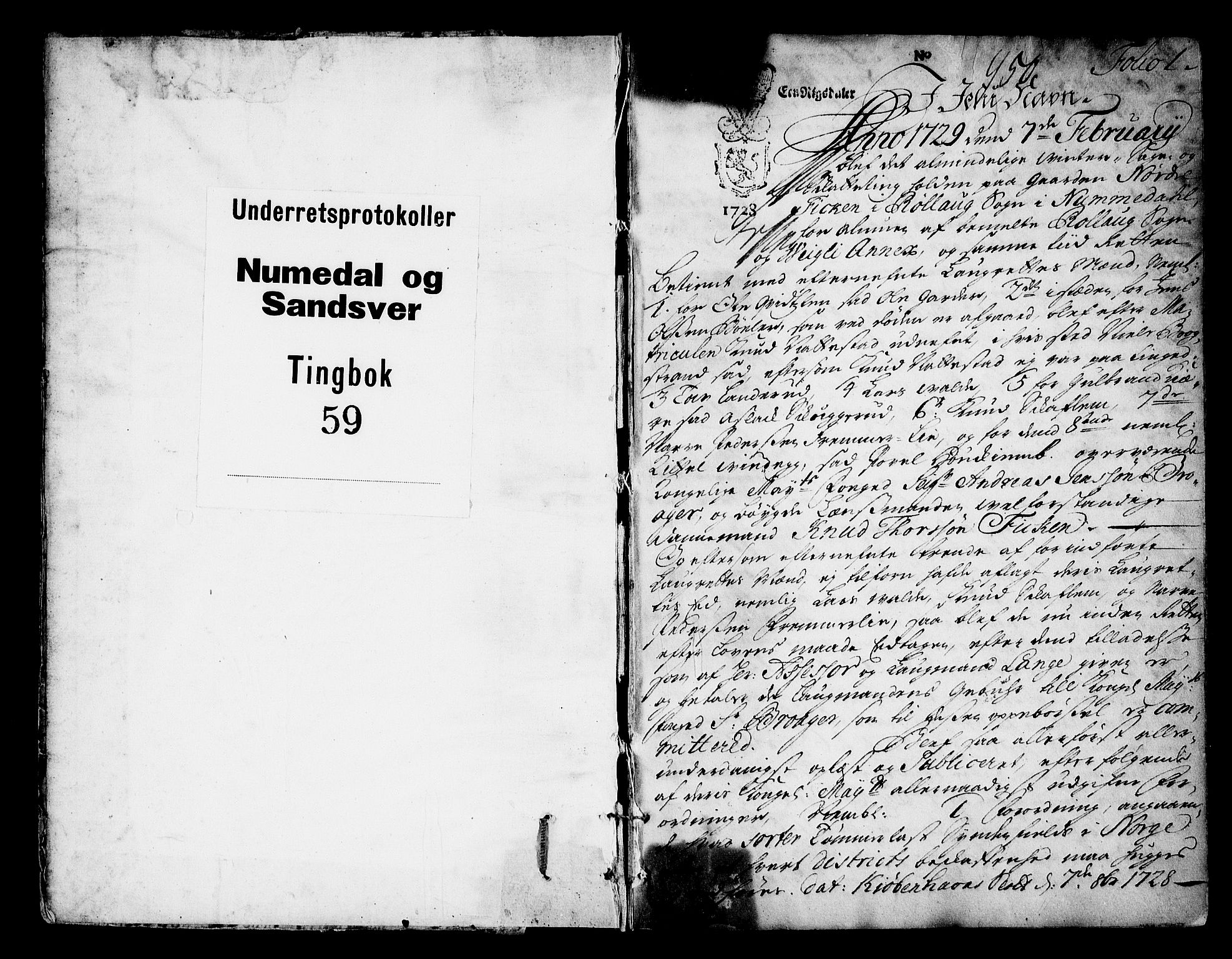 Numedal og Sandsvær sorenskriveri, AV/SAKO-A-128/F/Fa/Faa/L0059: Tingbok, 1729, p. 0b-1a