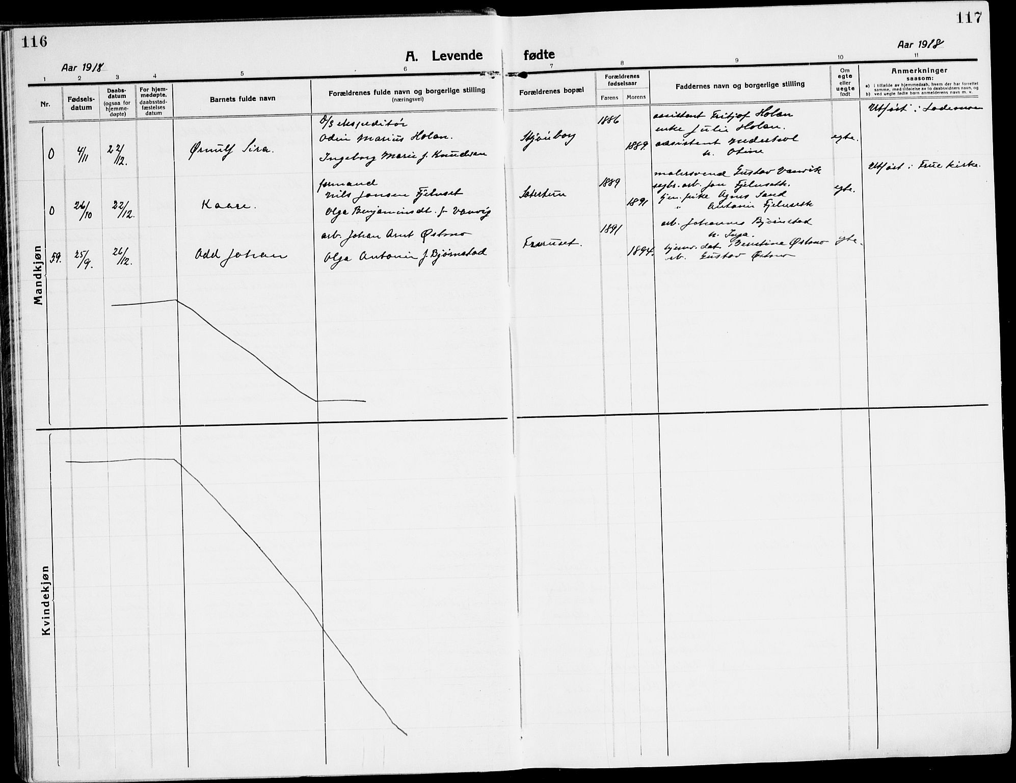 Ministerialprotokoller, klokkerbøker og fødselsregistre - Sør-Trøndelag, SAT/A-1456/607/L0321: Parish register (official) no. 607A05, 1916-1935, p. 116-117
