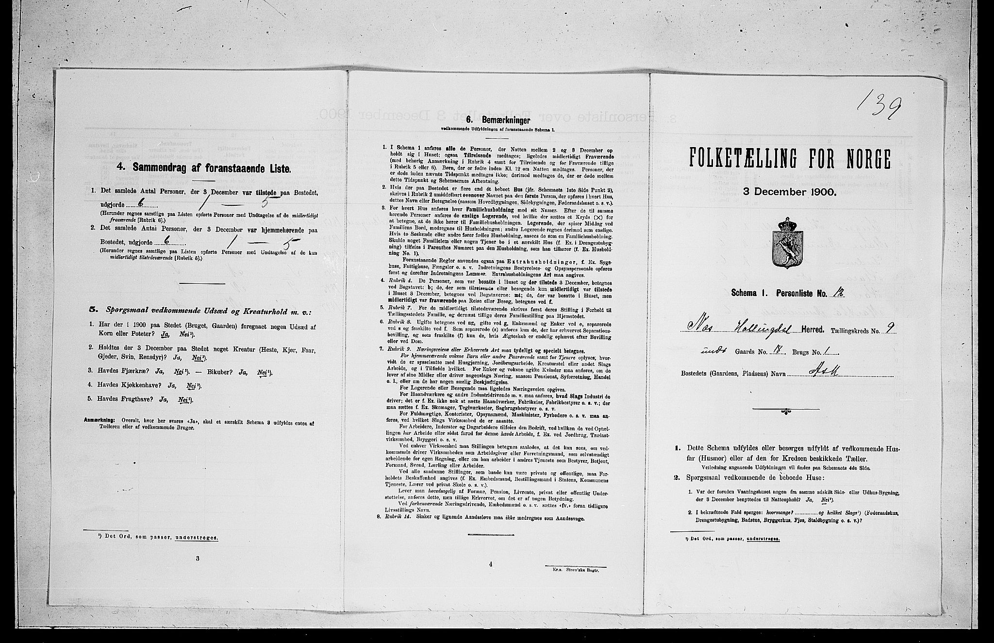 RA, 1900 census for Nes, 1900, p. 939