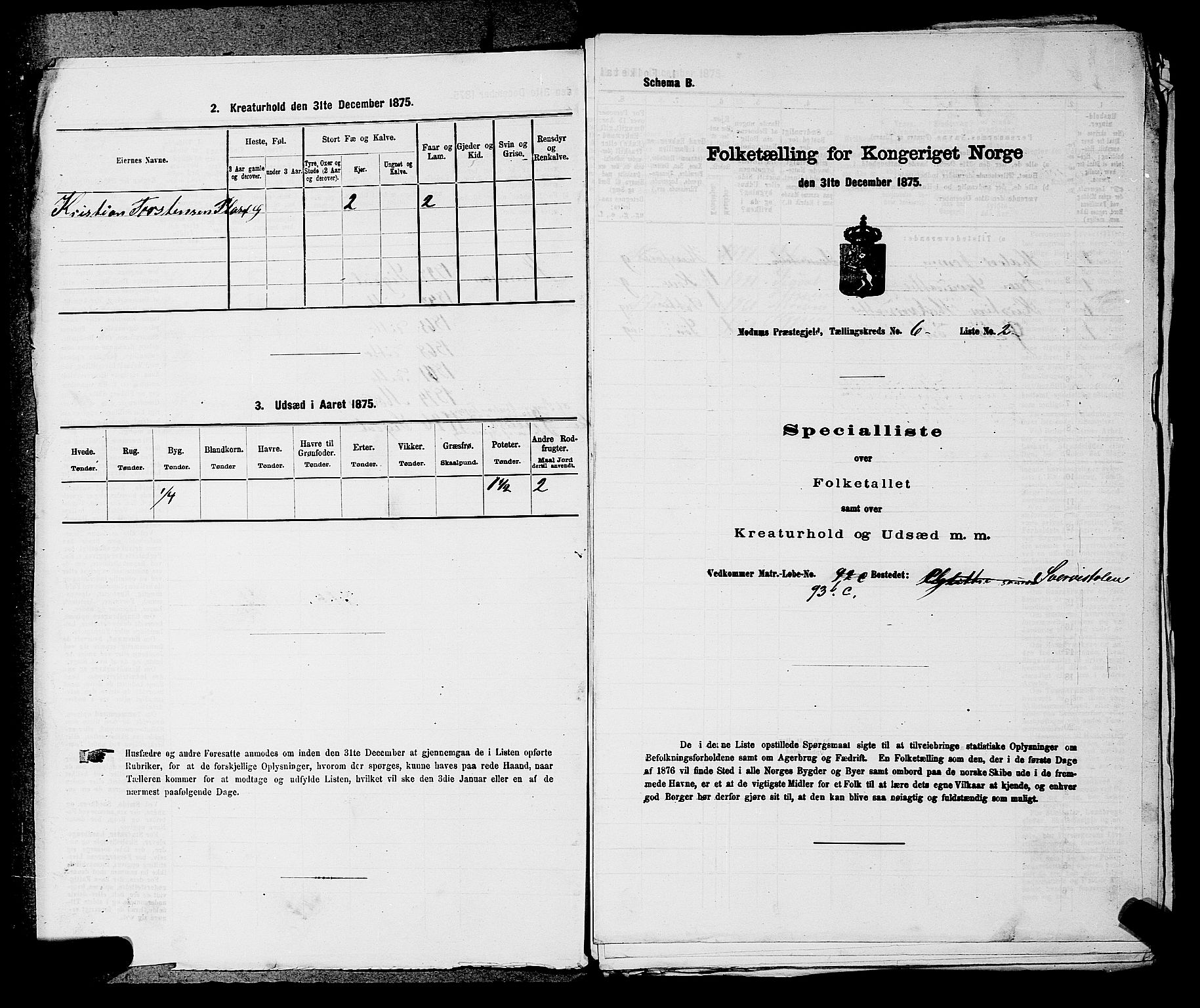 SAKO, 1875 census for 0623P Modum, 1875, p. 708