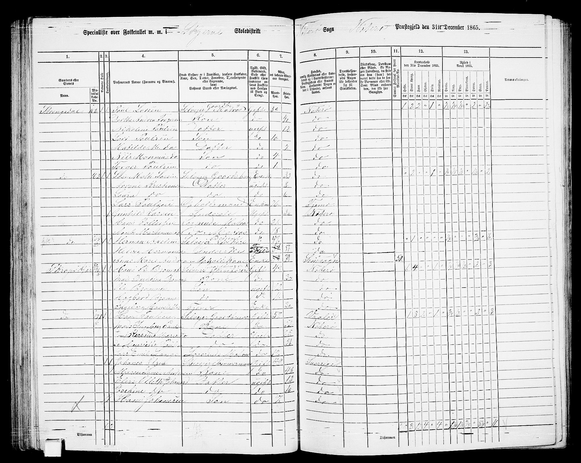 RA, 1865 census for Nøtterøy, 1865, p. 131