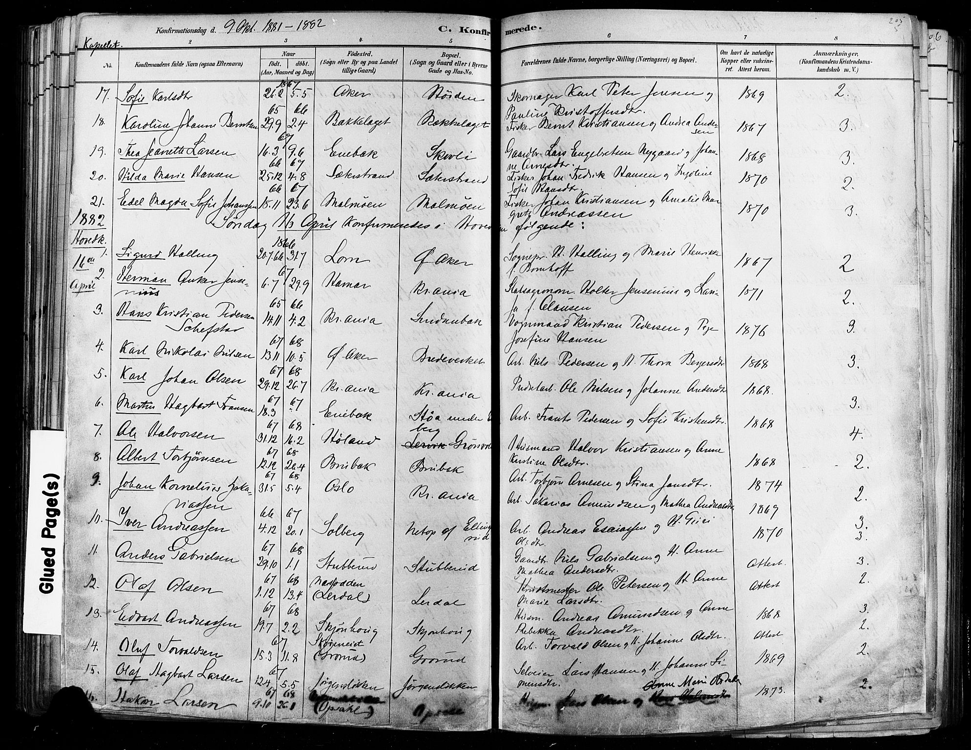 Østre Aker prestekontor Kirkebøker, AV/SAO-A-10840/F/Fa/L0006: Parish register (official) no. I 5, 1879-1882, p. 205e