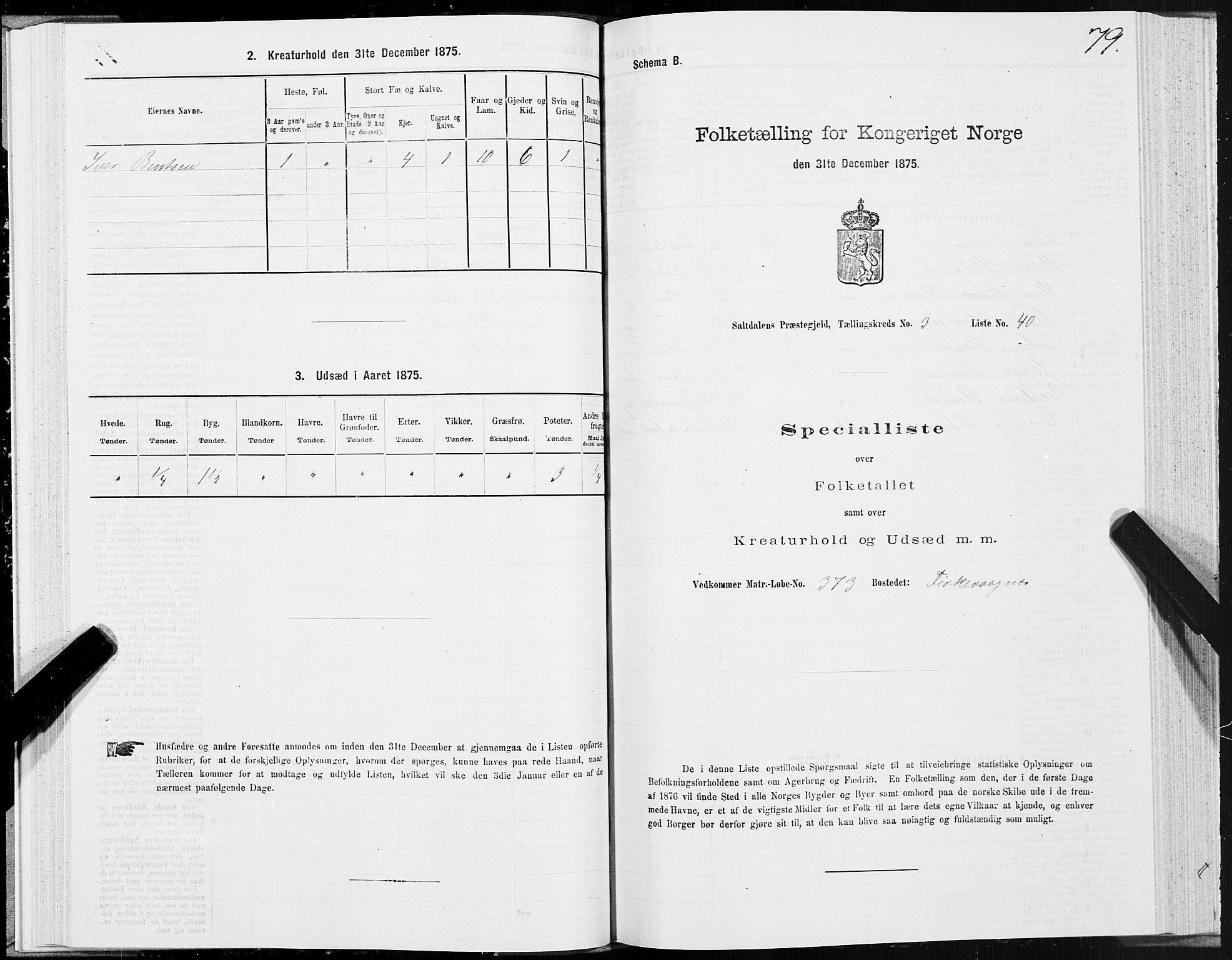 SAT, 1875 census for 1840P Saltdal, 1875, p. 2079