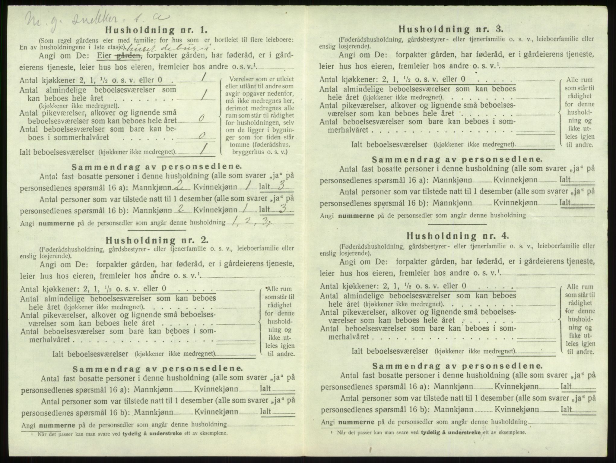 SAB, 1920 census for Vik, 1920, p. 1037