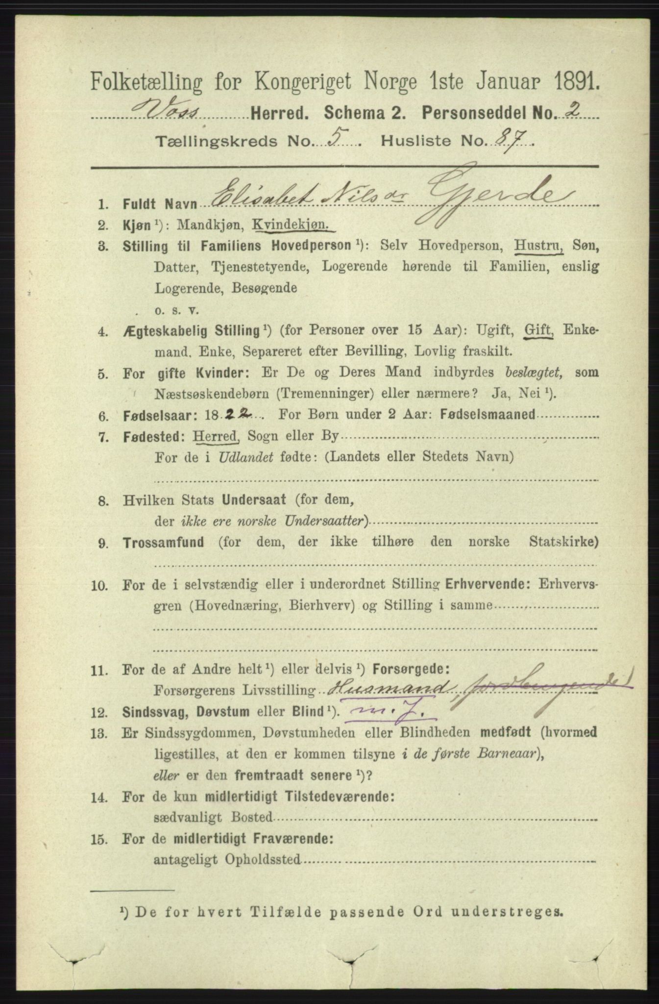 RA, 1891 census for 1235 Voss, 1891, p. 3205