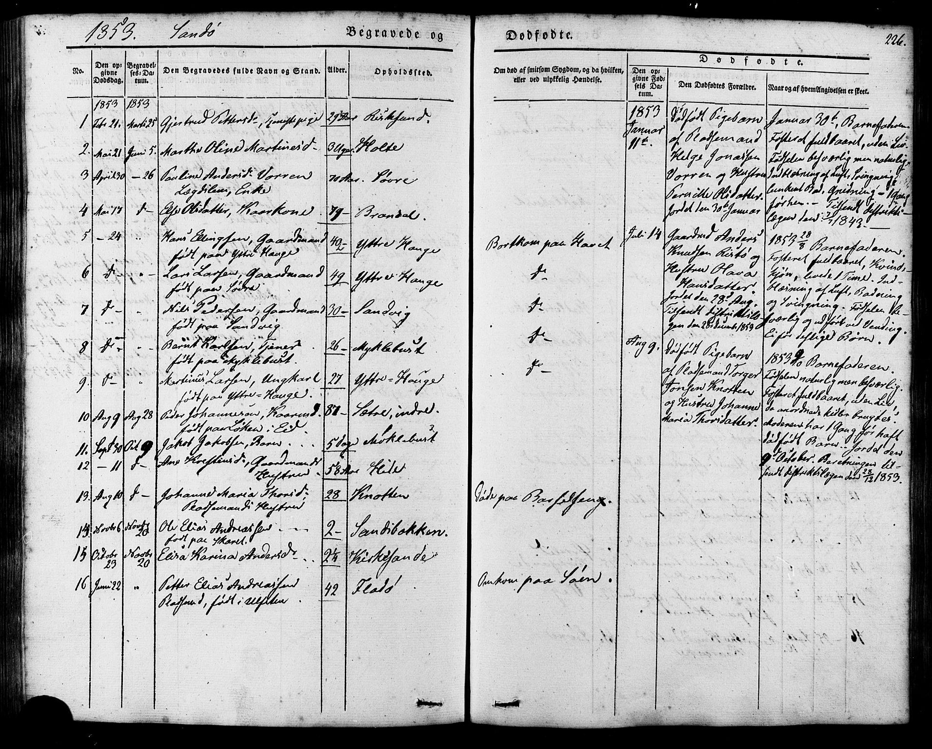 Ministerialprotokoller, klokkerbøker og fødselsregistre - Møre og Romsdal, AV/SAT-A-1454/503/L0034: Parish register (official) no. 503A02, 1841-1884, p. 226