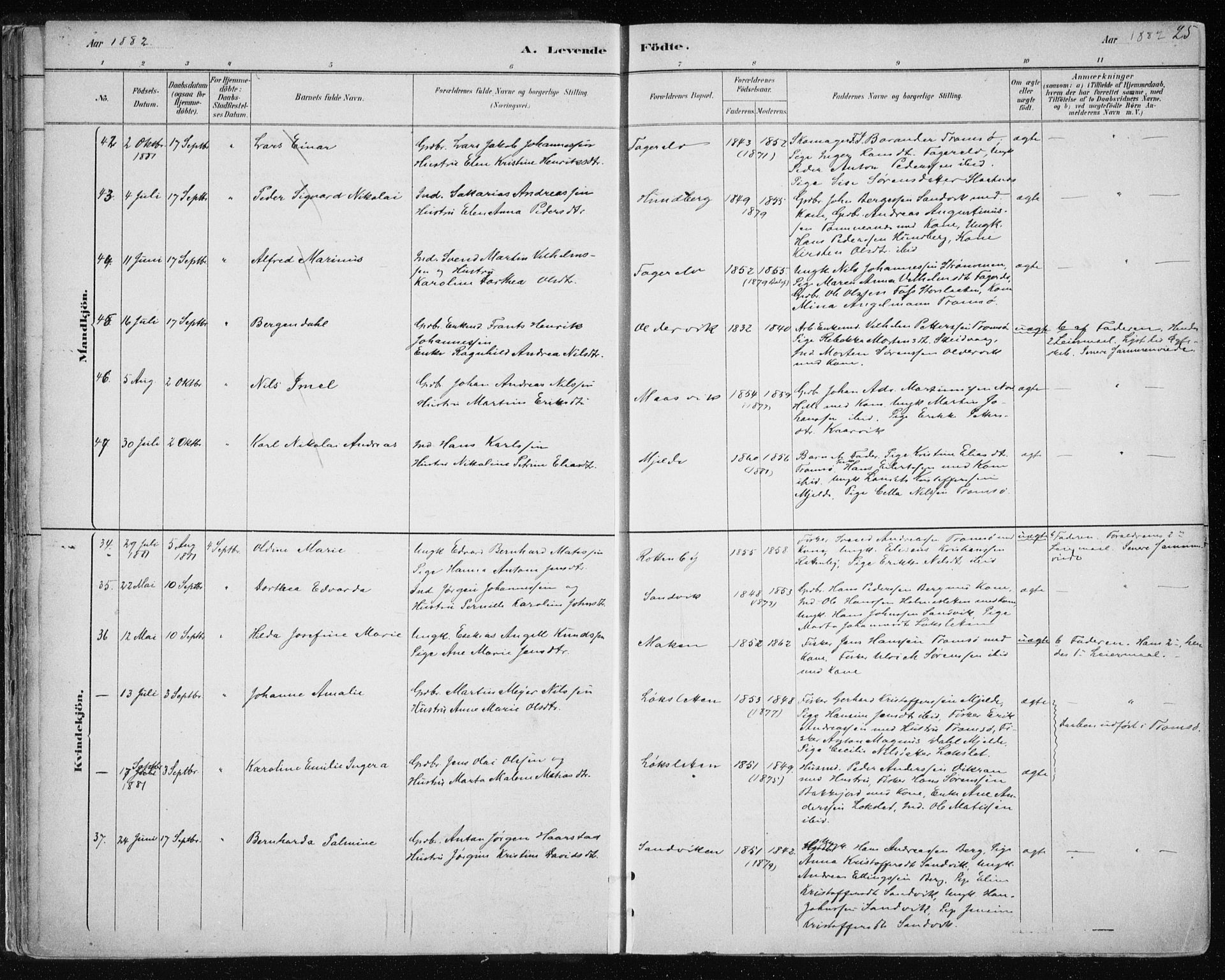 Tromsøysund sokneprestkontor, AV/SATØ-S-1304/G/Ga/L0004kirke: Parish register (official) no. 4, 1880-1888, p. 25