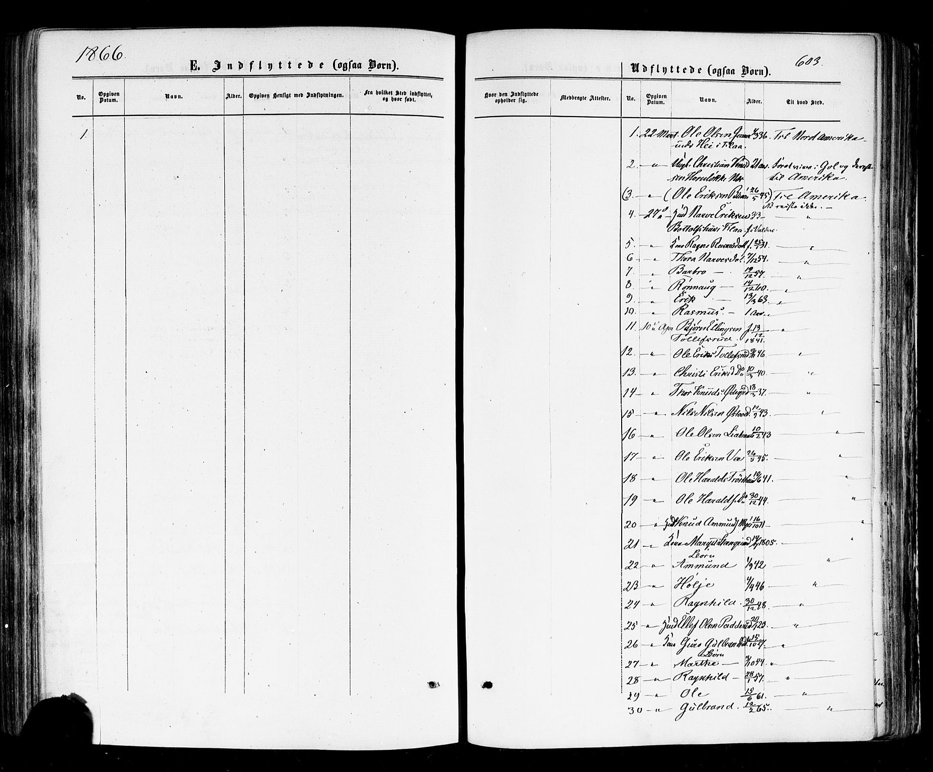 Nes kirkebøker, SAKO/A-236/F/Fa/L0010: Parish register (official) no. 10, 1864-1880, p. 603