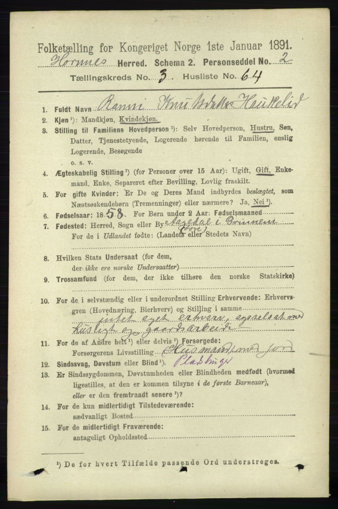 RA, 1891 census for 0936 Hornnes, 1891, p. 1009