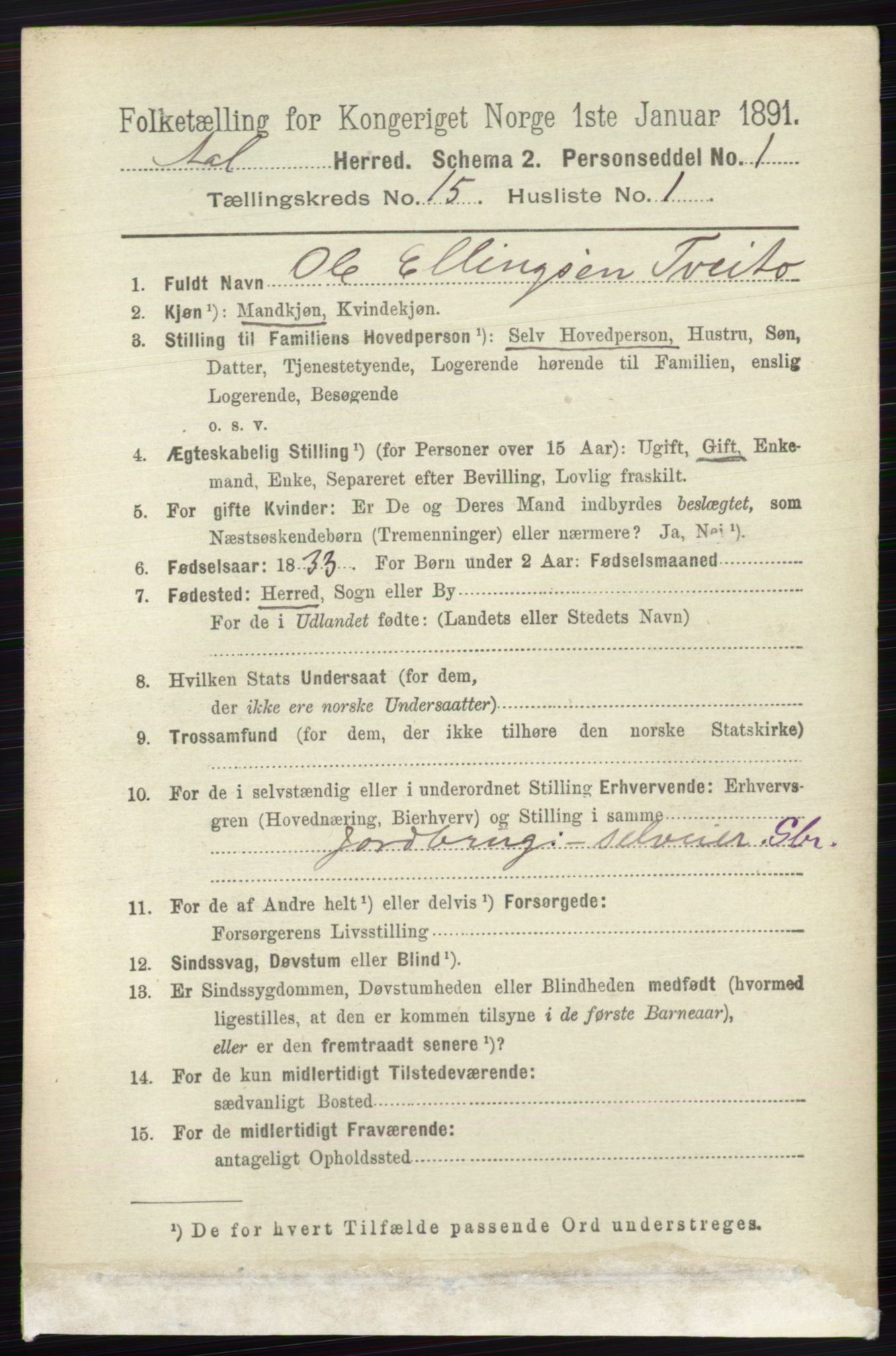 RA, 1891 census for 0619 Ål, 1891, p. 3754