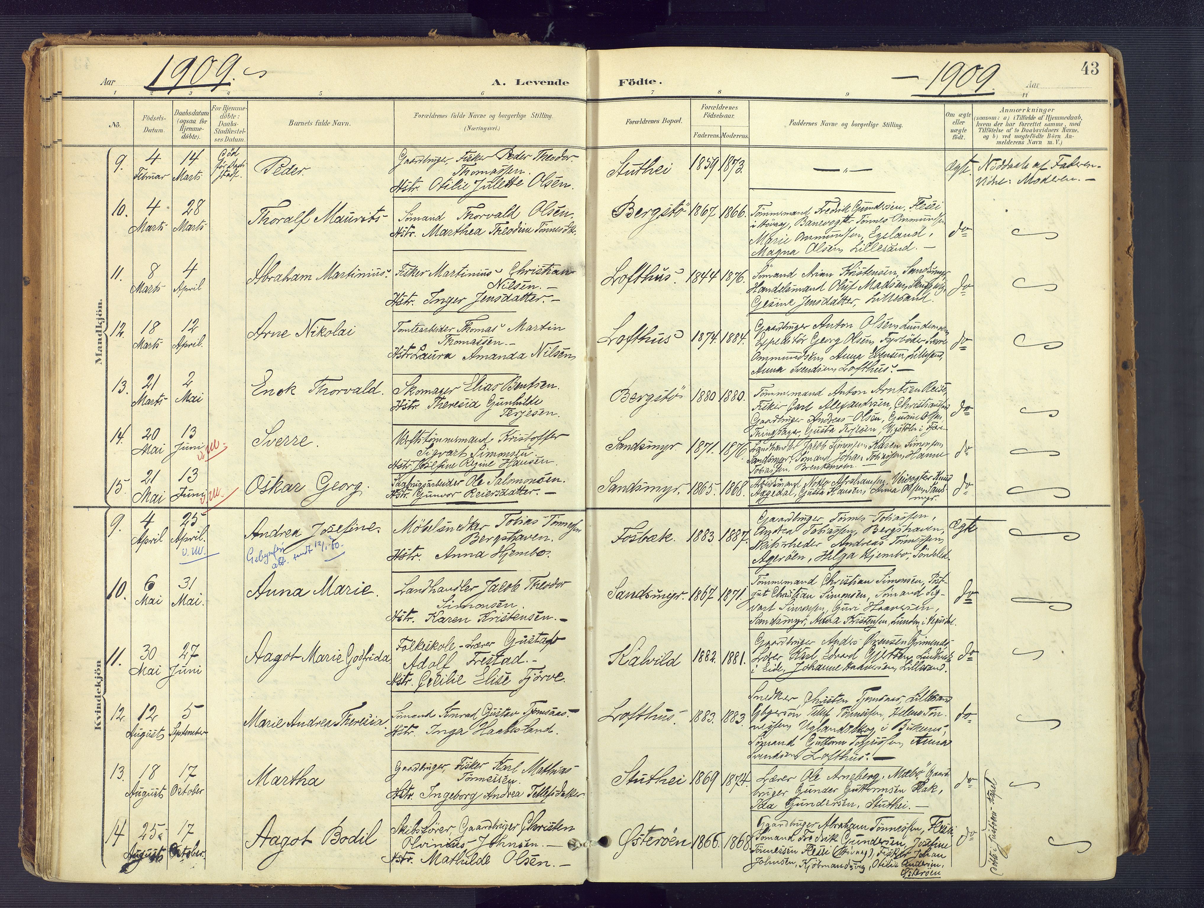 Vestre Moland sokneprestkontor, SAK/1111-0046/F/Fa/Fab/L0010: Parish register (official) no. A 10, 1900-1926, p. 43
