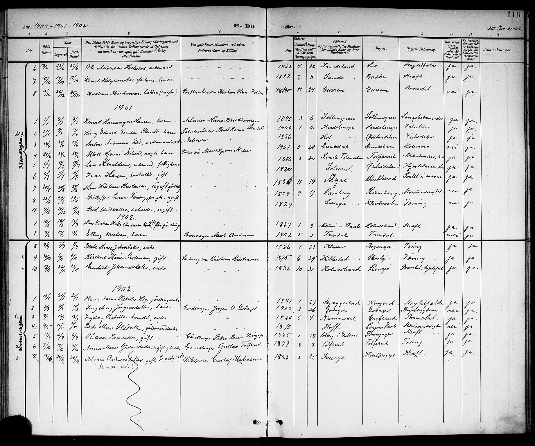 Botne kirkebøker, SAKO/A-340/G/Ga/L0004: Parish register (copy) no. I 4, 1899-1915, p. 116