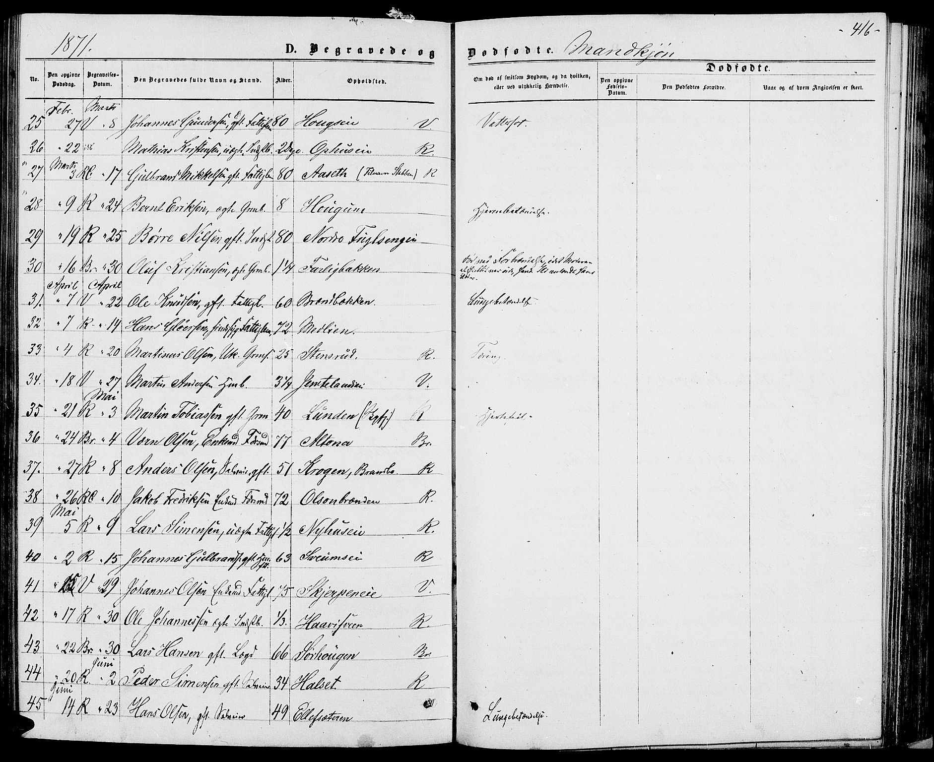 Ringsaker prestekontor, AV/SAH-PREST-014/L/La/L0008: Parish register (copy) no. 8, 1870-1878, p. 416