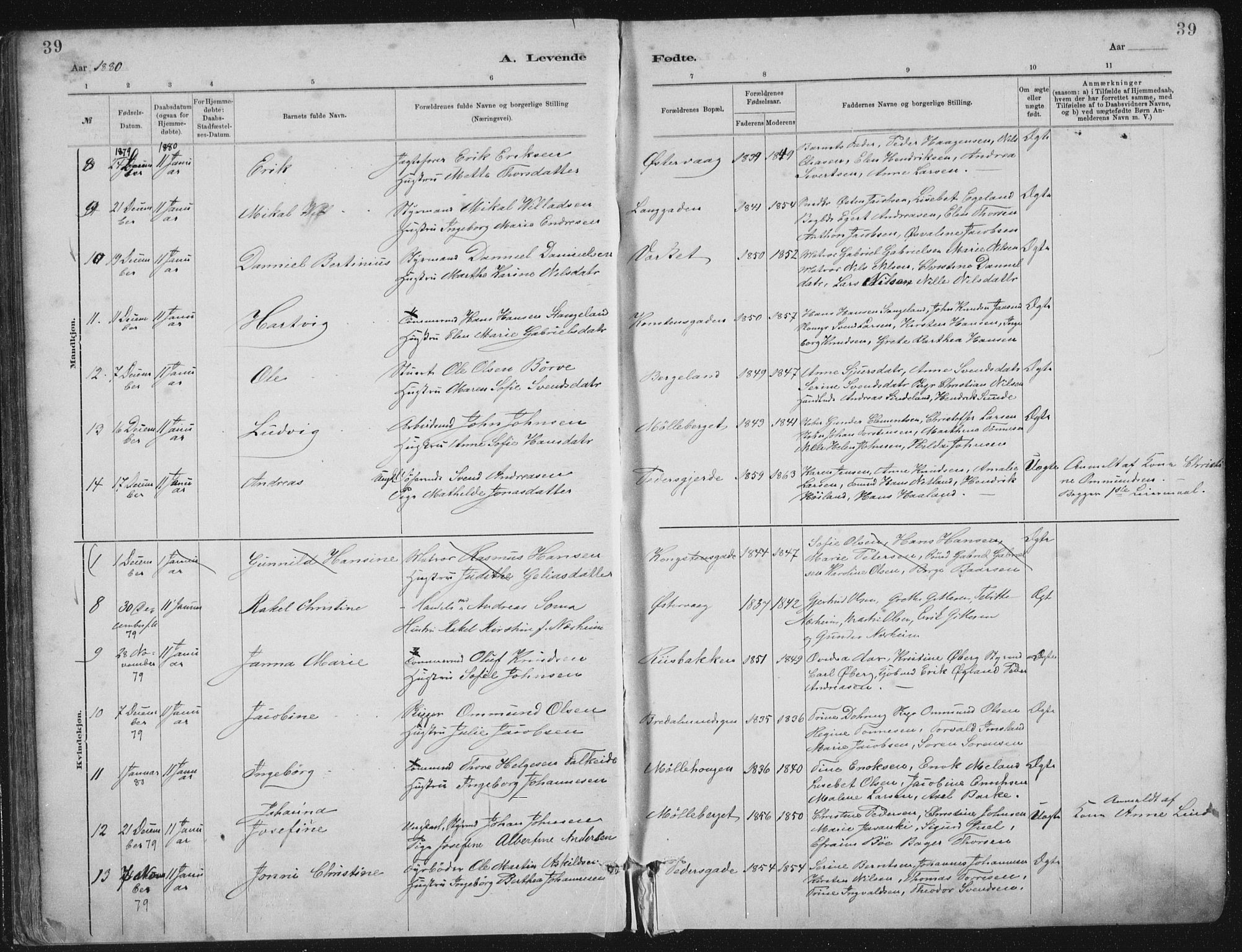 St. Petri sokneprestkontor, SAST/A-101813/001/30/30BA/L0015: Parish register (official) no. A 15, 1879-1888, p. 39