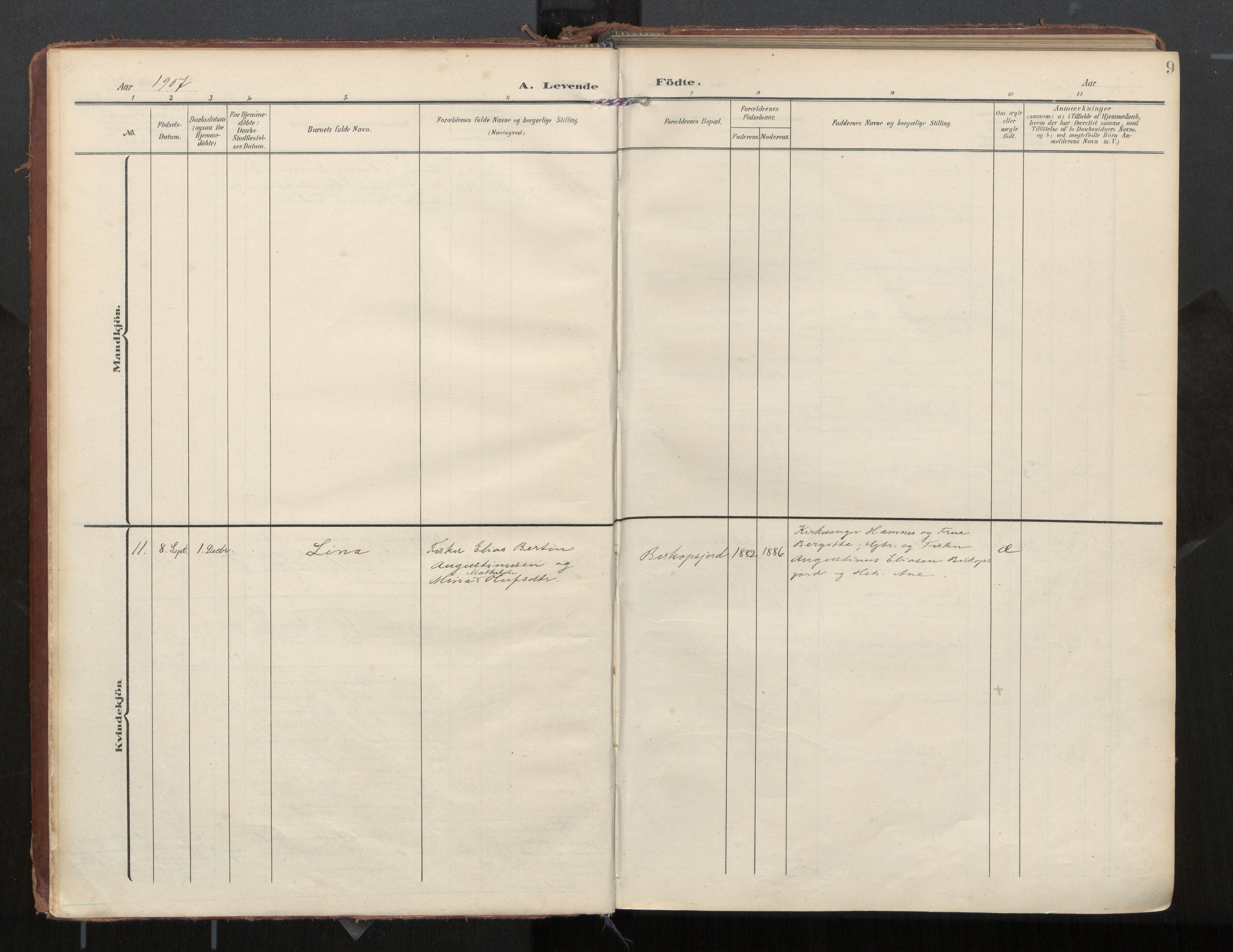 Ministerialprotokoller, klokkerbøker og fødselsregistre - Nordland, SAT/A-1459/884/L1194: Parish register (official) no. 884A02, 1906-1937, p. 9