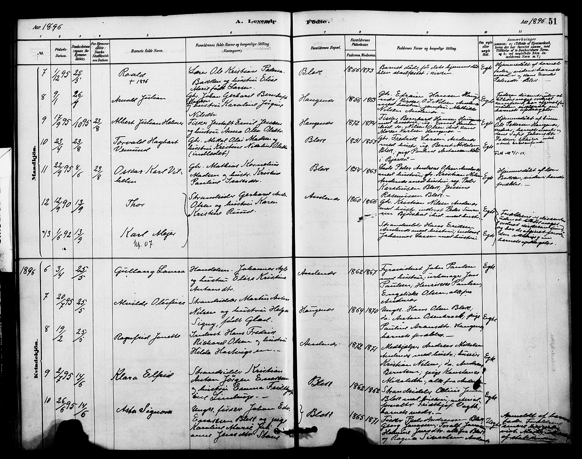 Ministerialprotokoller, klokkerbøker og fødselsregistre - Nordland, AV/SAT-A-1459/899/L1436: Parish register (official) no. 899A04, 1881-1896, p. 51