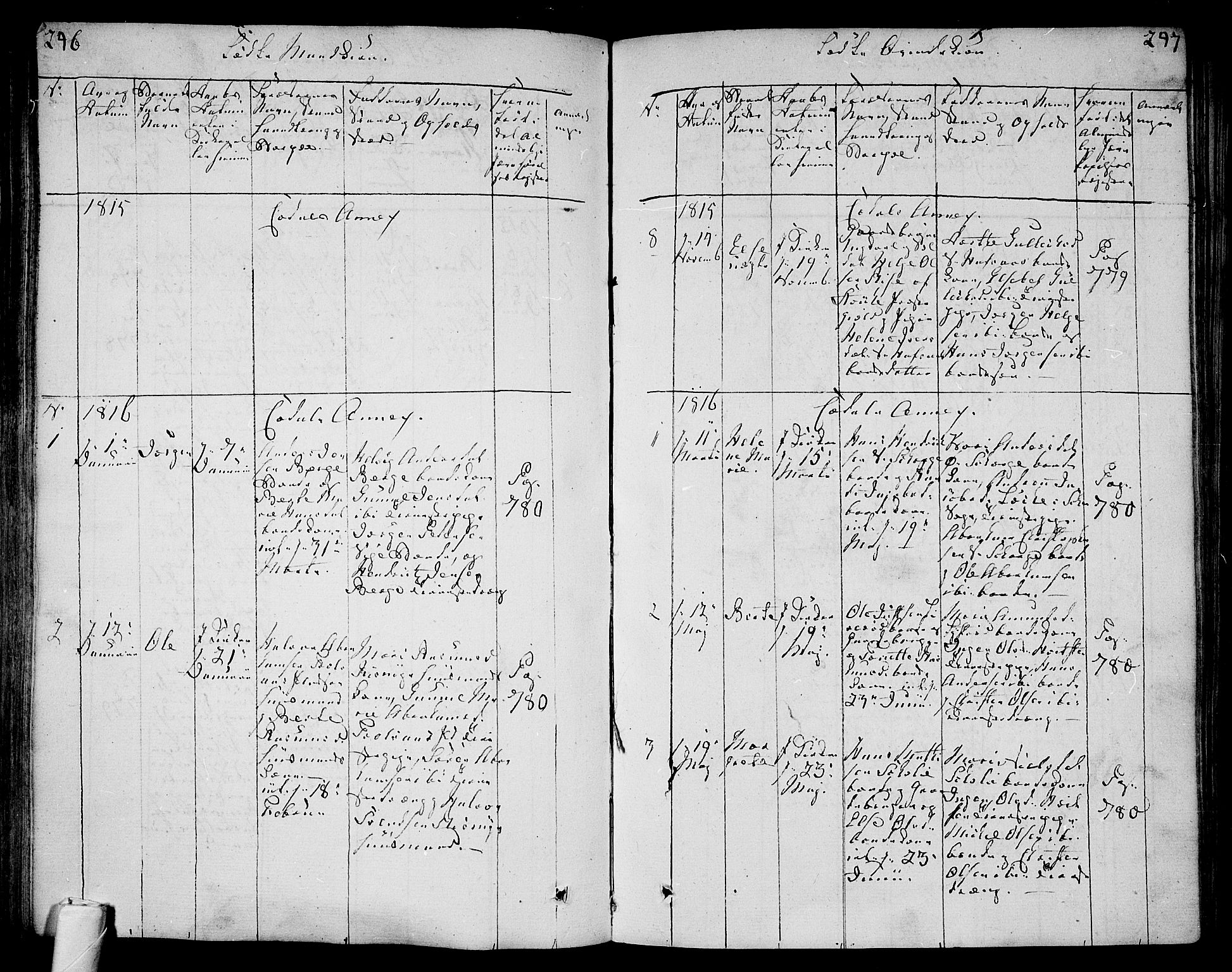 Andebu kirkebøker, AV/SAKO-A-336/F/Fa/L0003: Parish register (official) no. 3 /3, 1815-1828, p. 246-247